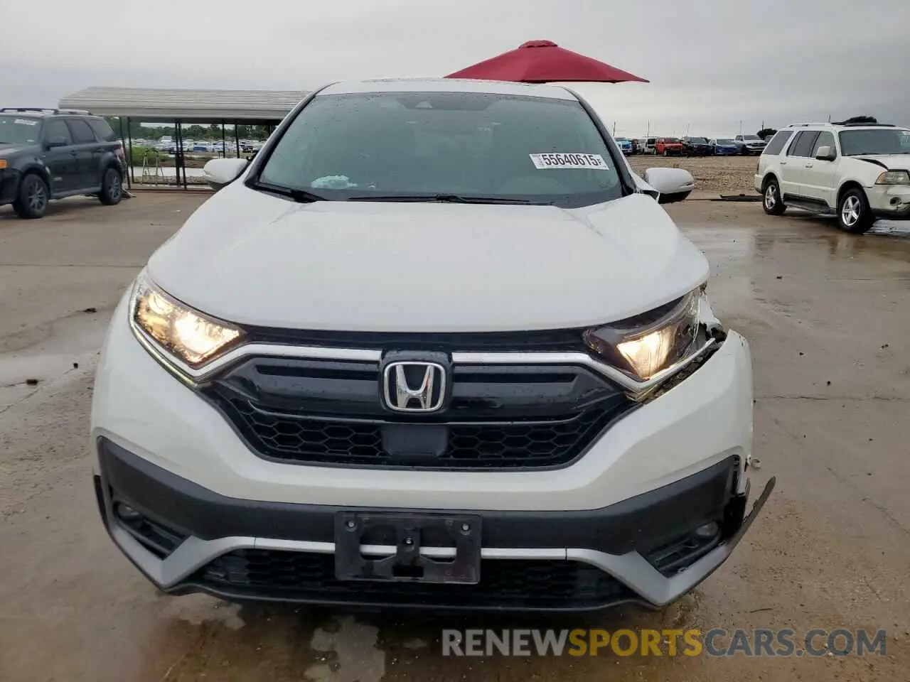 5 Photograph of a damaged car 5J6RW1H87NA019243 HONDA CRV 2022