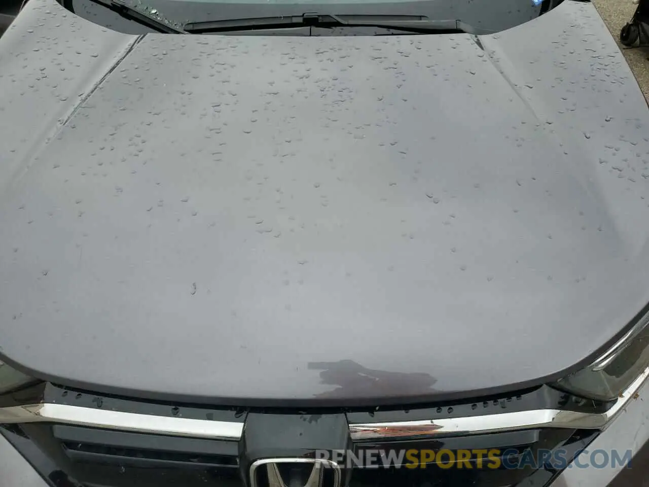 12 Photograph of a damaged car 7FARW2H81NE003806 HONDA CRV 2022