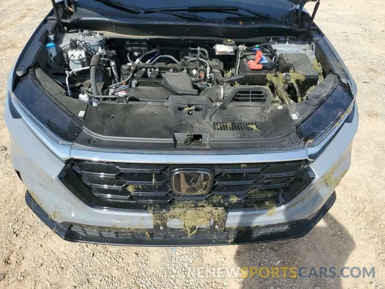 12 Photograph of a damaged car 7FARS4H76PE012664 HONDA CRV 2023