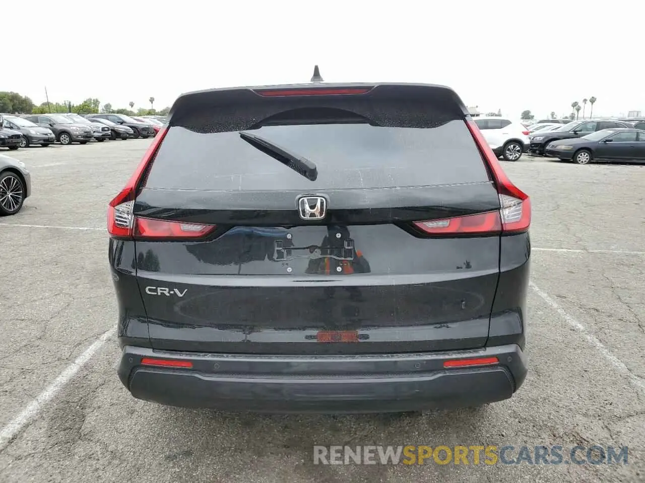 6 Photograph of a damaged car 2HKRS3H79RH324889 HONDA CRV 2024