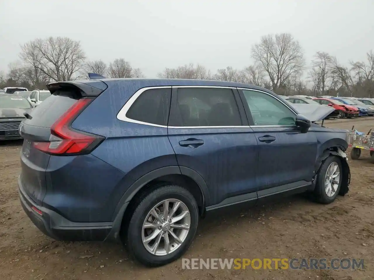 3 Photograph of a damaged car 5J6RS4H46RL002583 HONDA CRV 2024