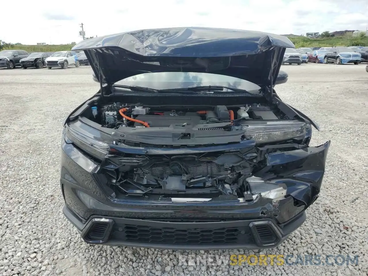 5 Photograph of a damaged car 5J6RS5H80RL005262 HONDA CRV 2024