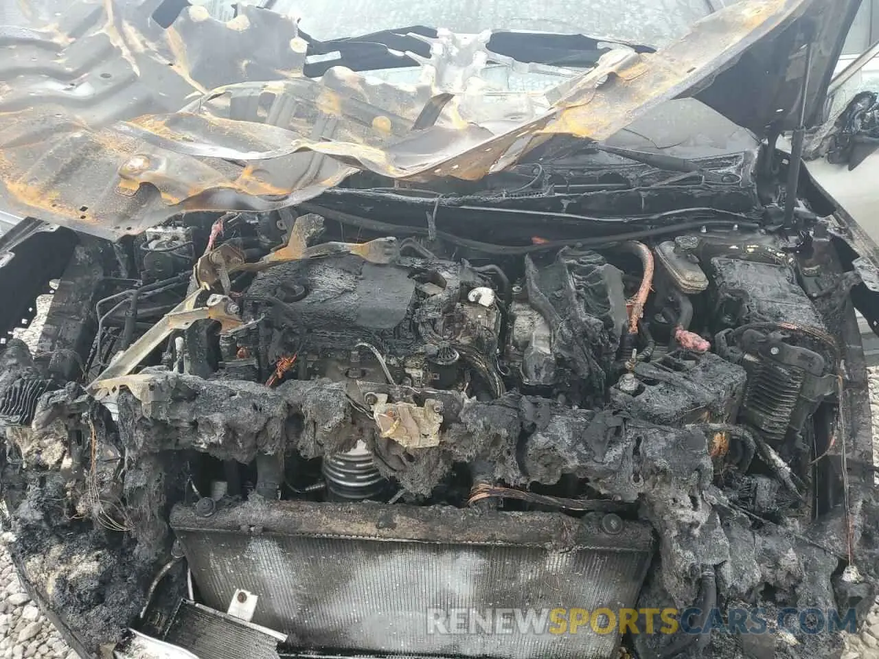 12 Photograph of a damaged car 5J6RS6H92RL025088 HONDA CRV 2024