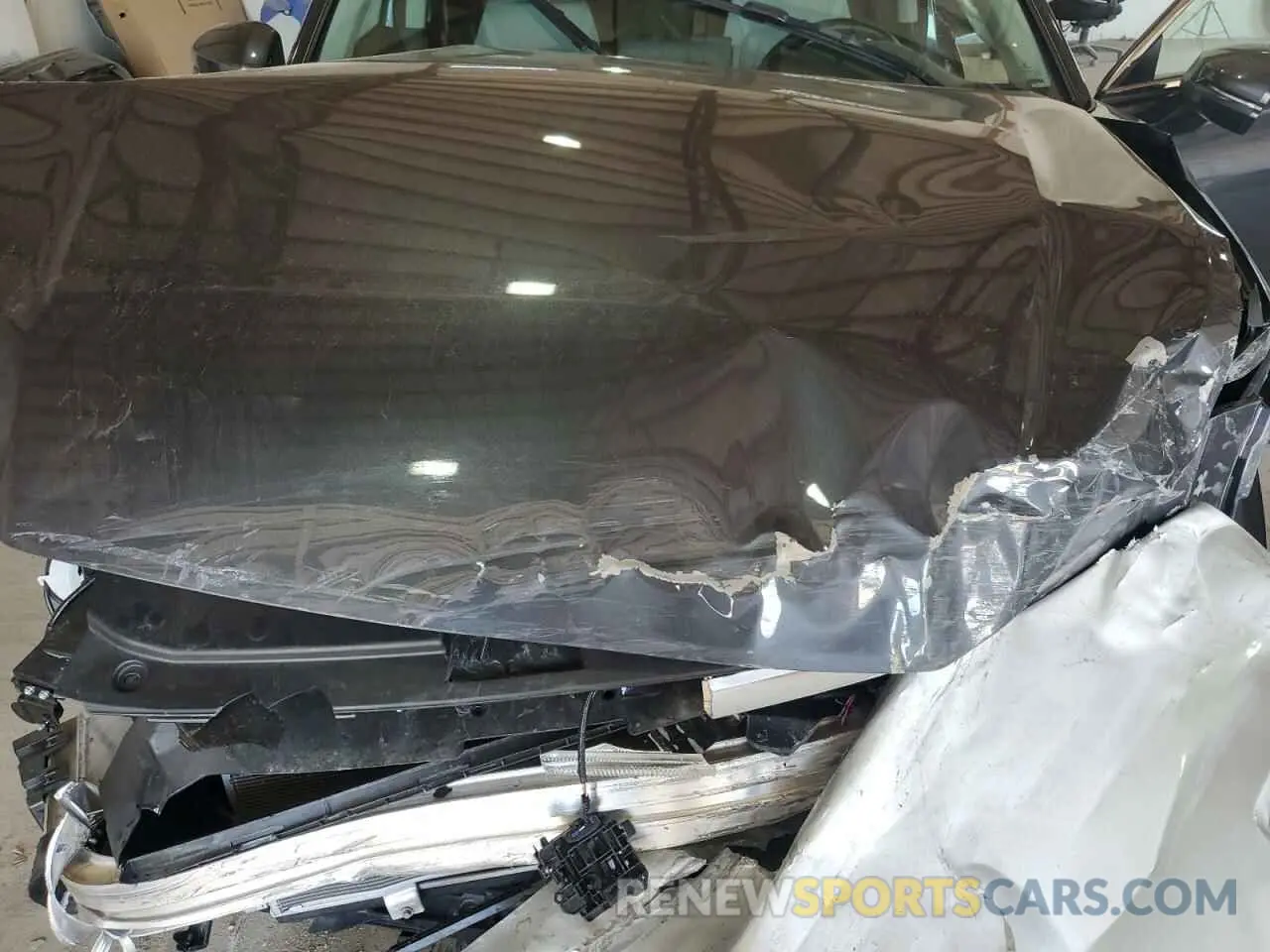 13 Photograph of a damaged car 7FARS4H48RE011492 HONDA CRV 2024