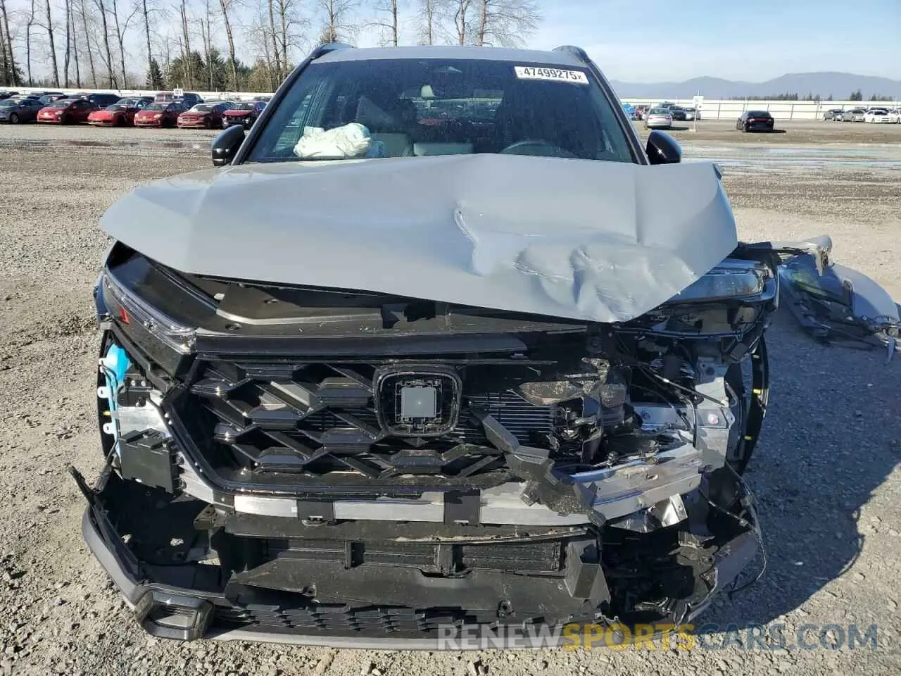 5 Photograph of a damaged car 7FARS6H50SE030967 HONDA CRV 2025
