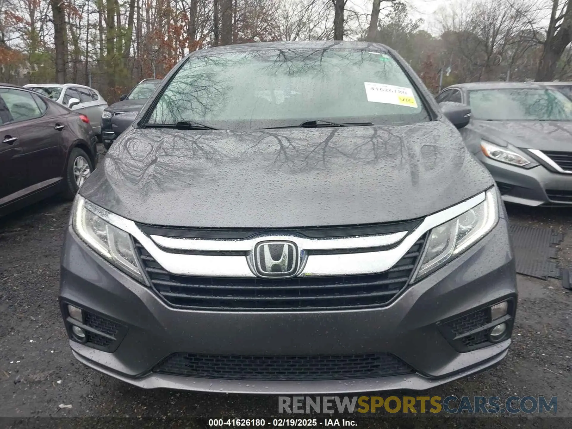12 Photograph of a damaged car 5FNRL6H5XKB037336 HONDA ODYSSEY 2019