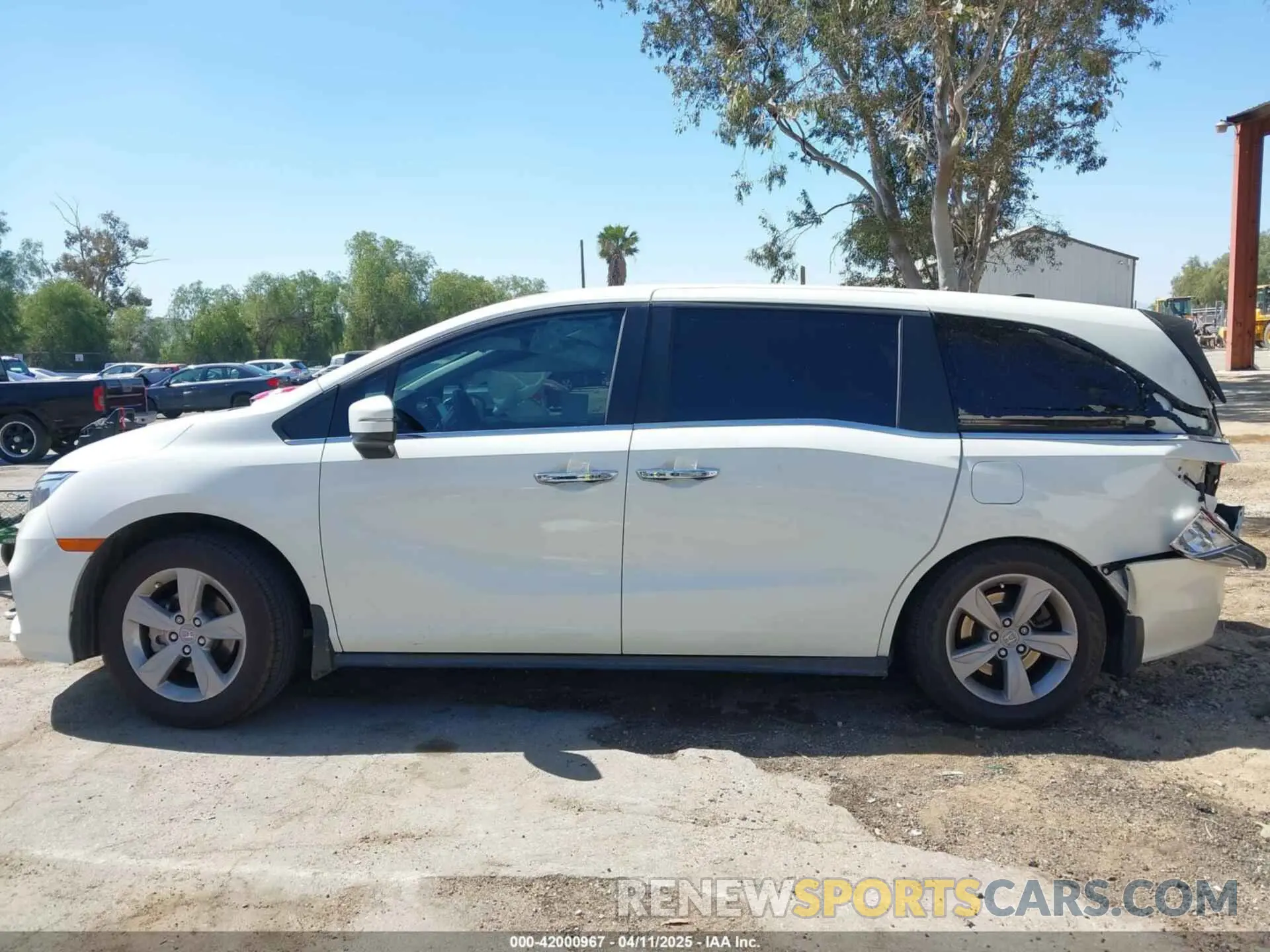 13 Photograph of a damaged car 5FNRL6H76KB066365 HONDA ODYSSEY 2019