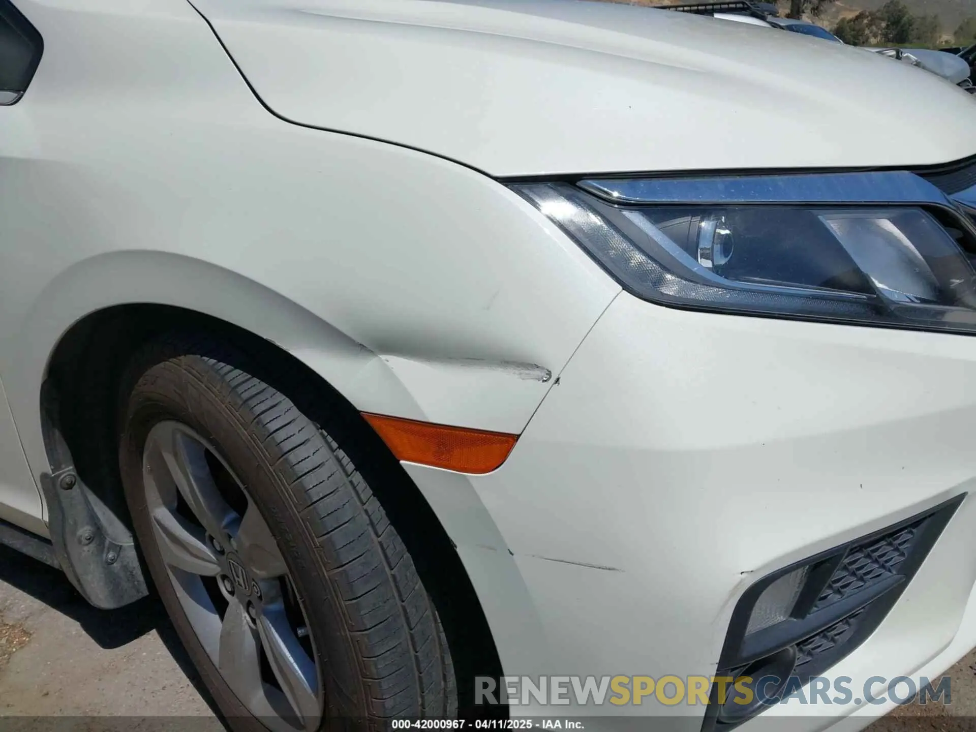 19 Photograph of a damaged car 5FNRL6H76KB066365 HONDA ODYSSEY 2019