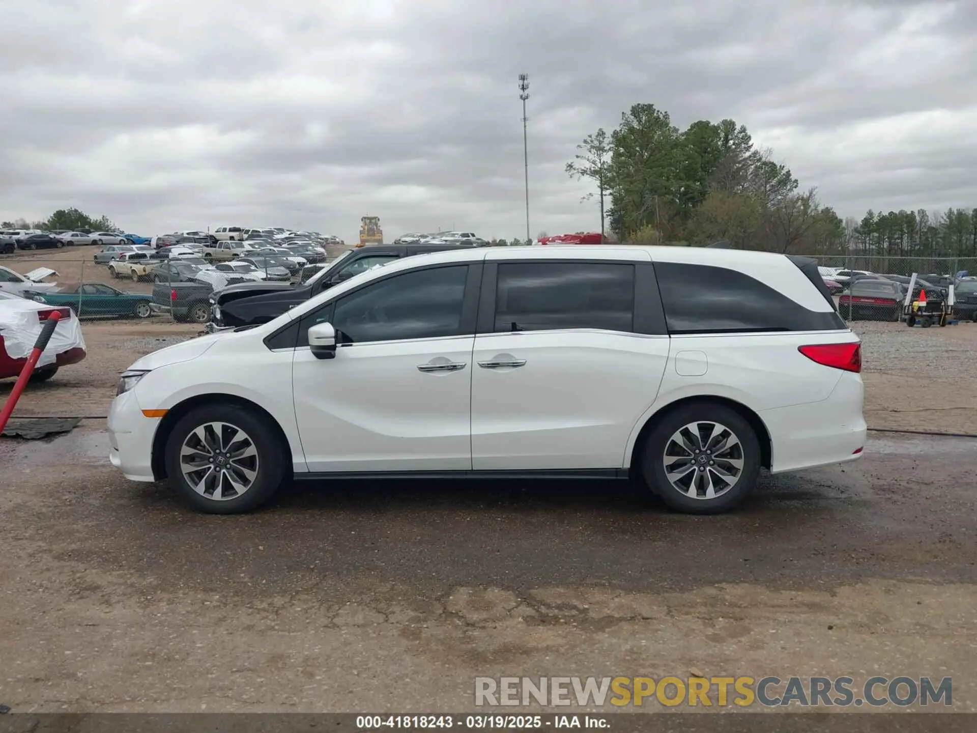 14 Photograph of a damaged car 5FNRL6H76NB002248 HONDA ODYSSEY 2022