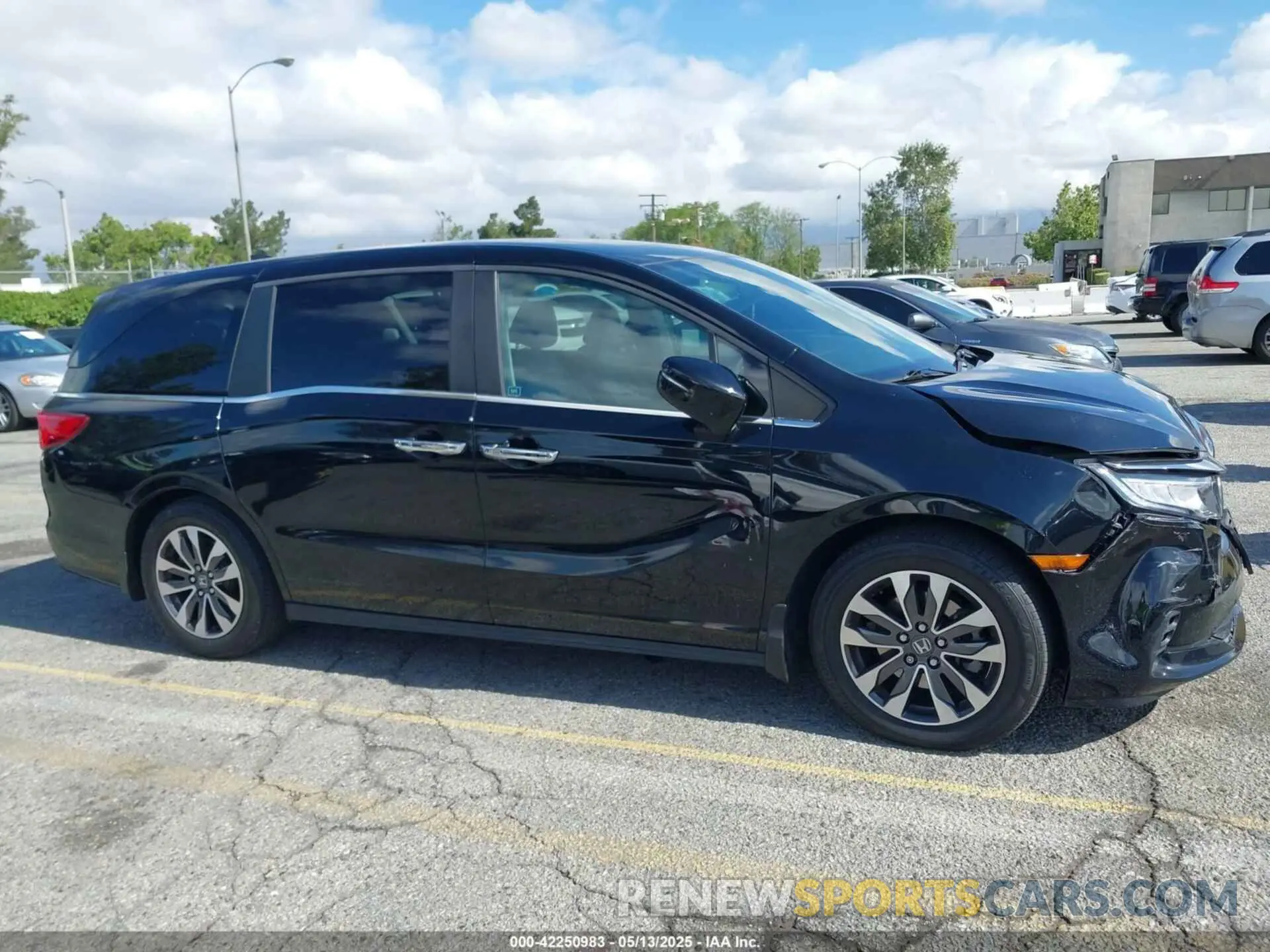 13 Photograph of a damaged car 5FNRL6H79NB032117 HONDA ODYSSEY 2022
