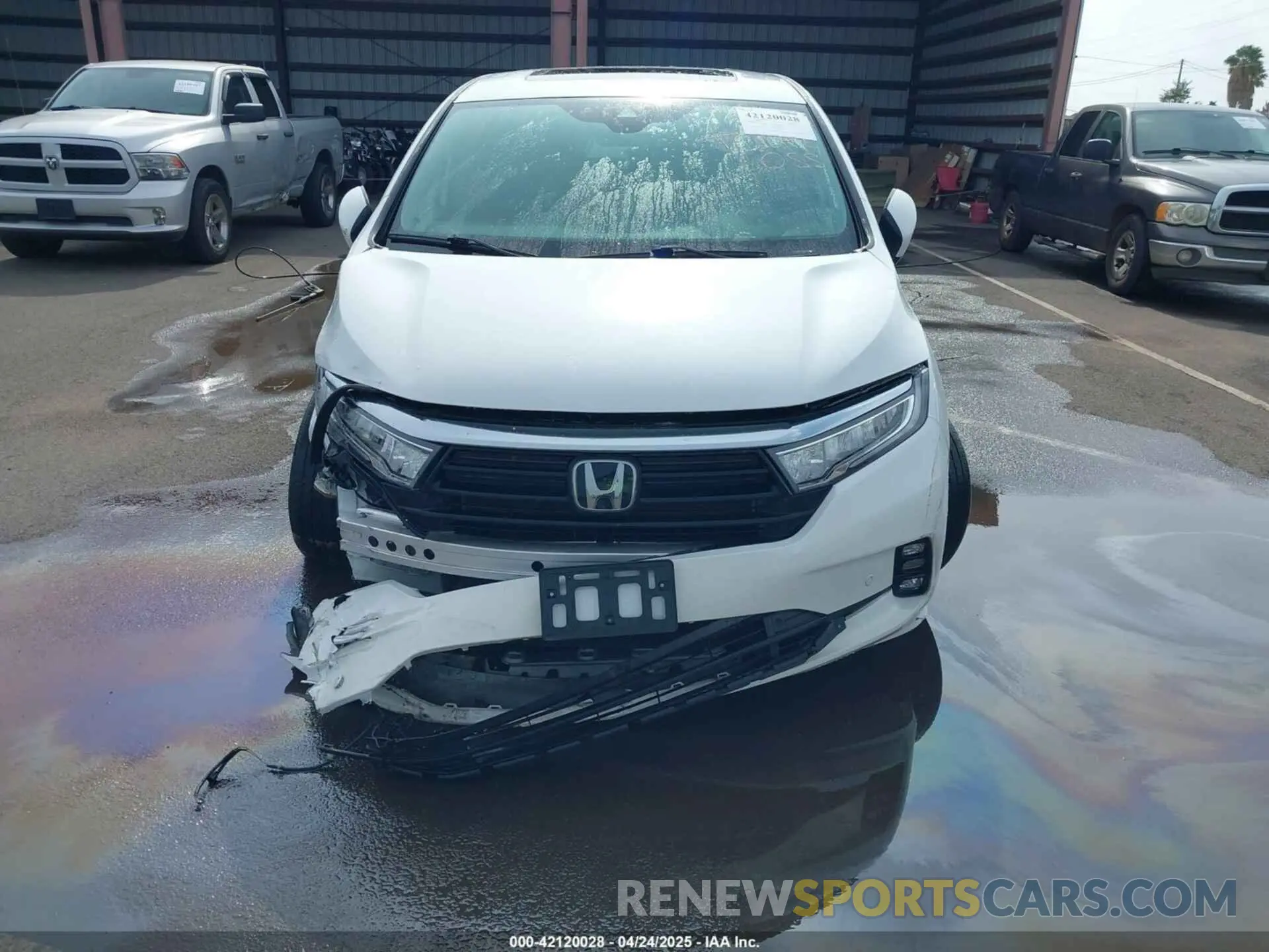 13 Photograph of a damaged car 5FNRL6H8XPB021977 HONDA ODYSSEY 2023