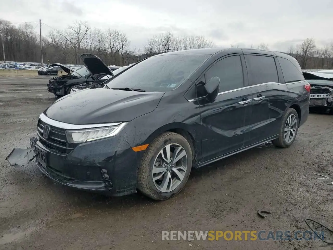 1 Photograph of a damaged car 5FNRL6H8XPB046345 HONDA ODYSSEY 2023