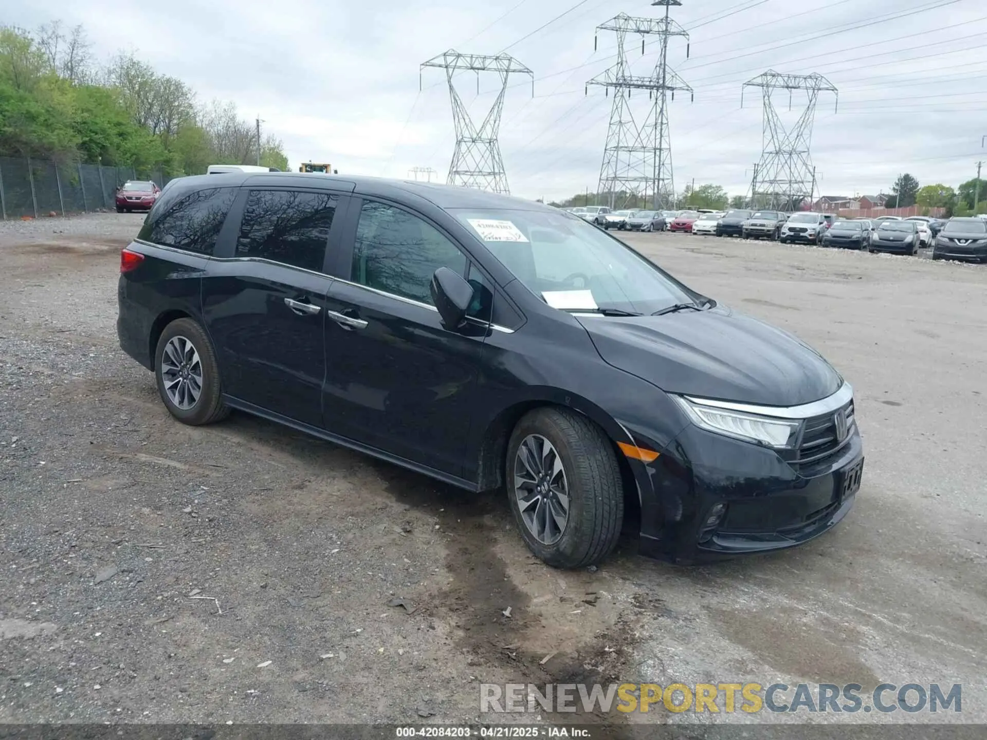 1 Photograph of a damaged car 5FNRL6H64RB055401 HONDA ODYSSEY 2024