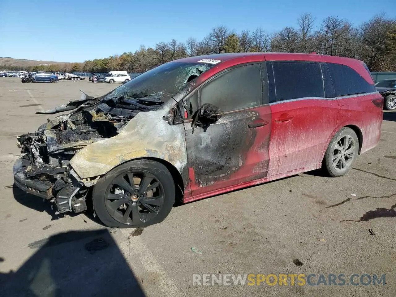 1 Photograph of a damaged car 5FNRL6H75PB054179 HONDA ODYSSEY SP 2023