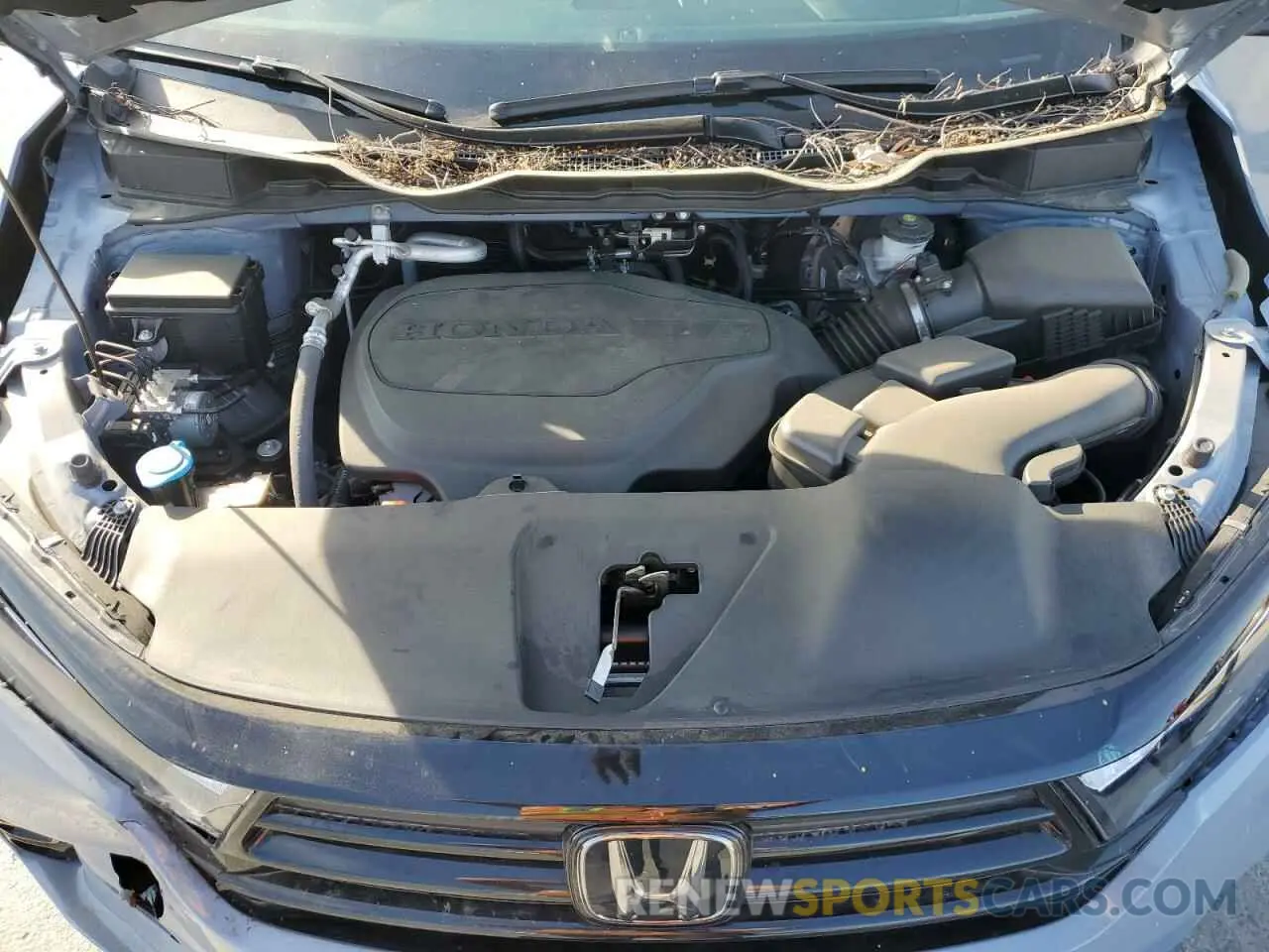 12 Photograph of a damaged car 5FNRL6H75RB059983 HONDA ODYSSEY SP 2024