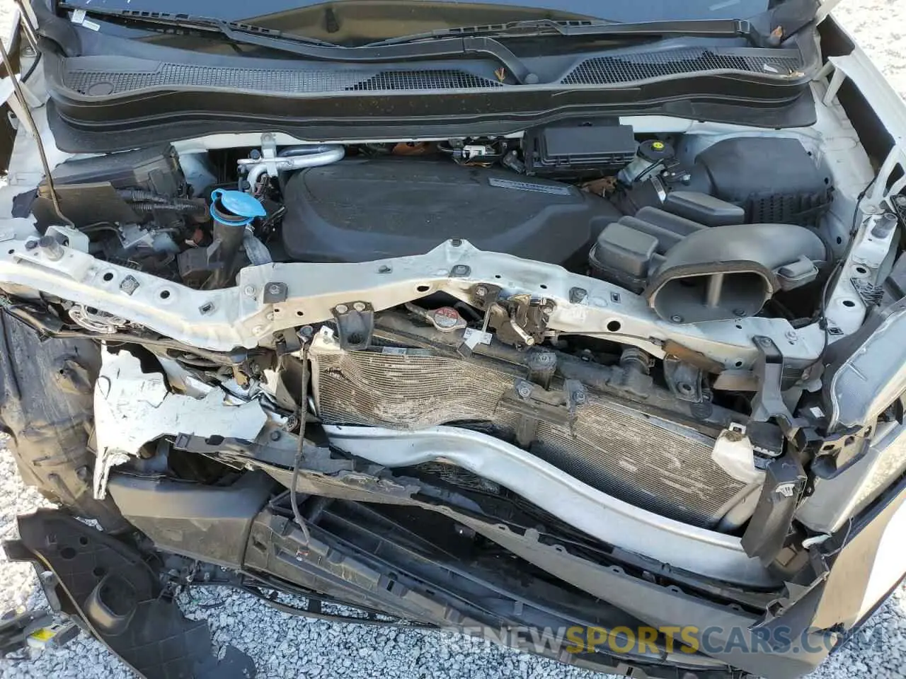 13 Photograph of a damaged car 5FNYF7H20KB004246 HONDA PASSPORT 2019