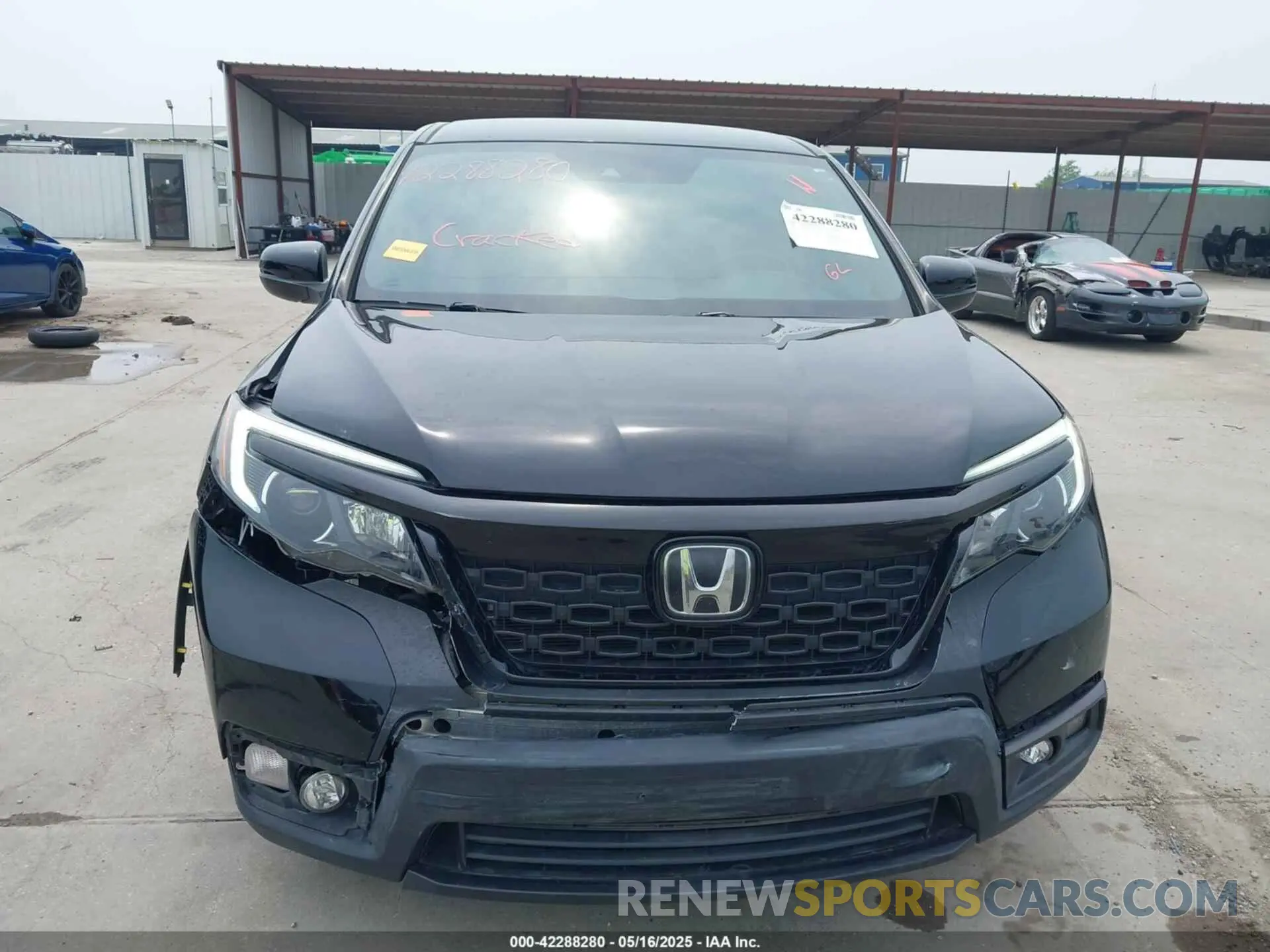 13 Photograph of a damaged car 5FNYF7H25KB008597 HONDA PASSPORT 2019