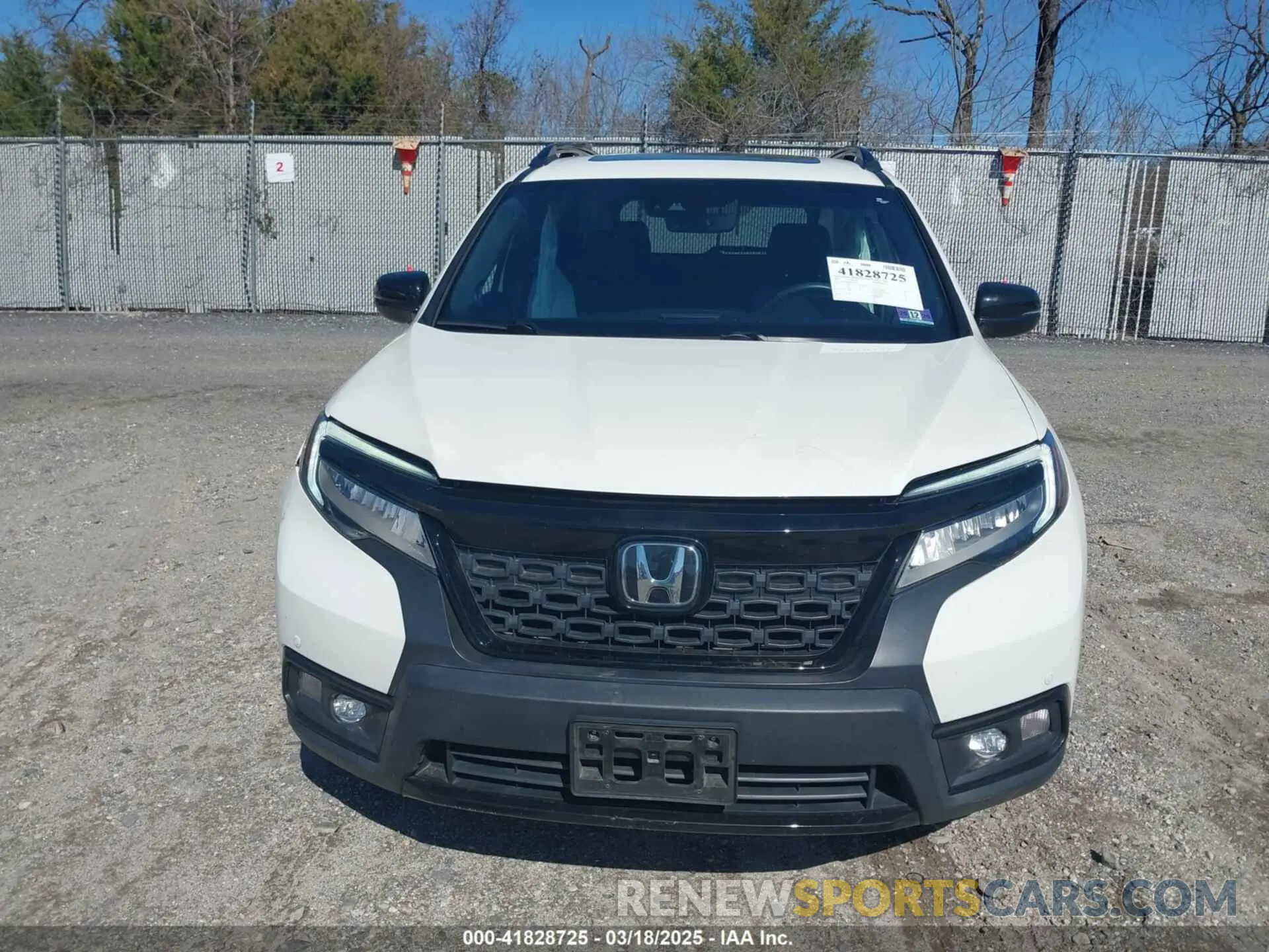 12 Photograph of a damaged car 5FNYF8H04KB005307 HONDA PASSPORT 2019