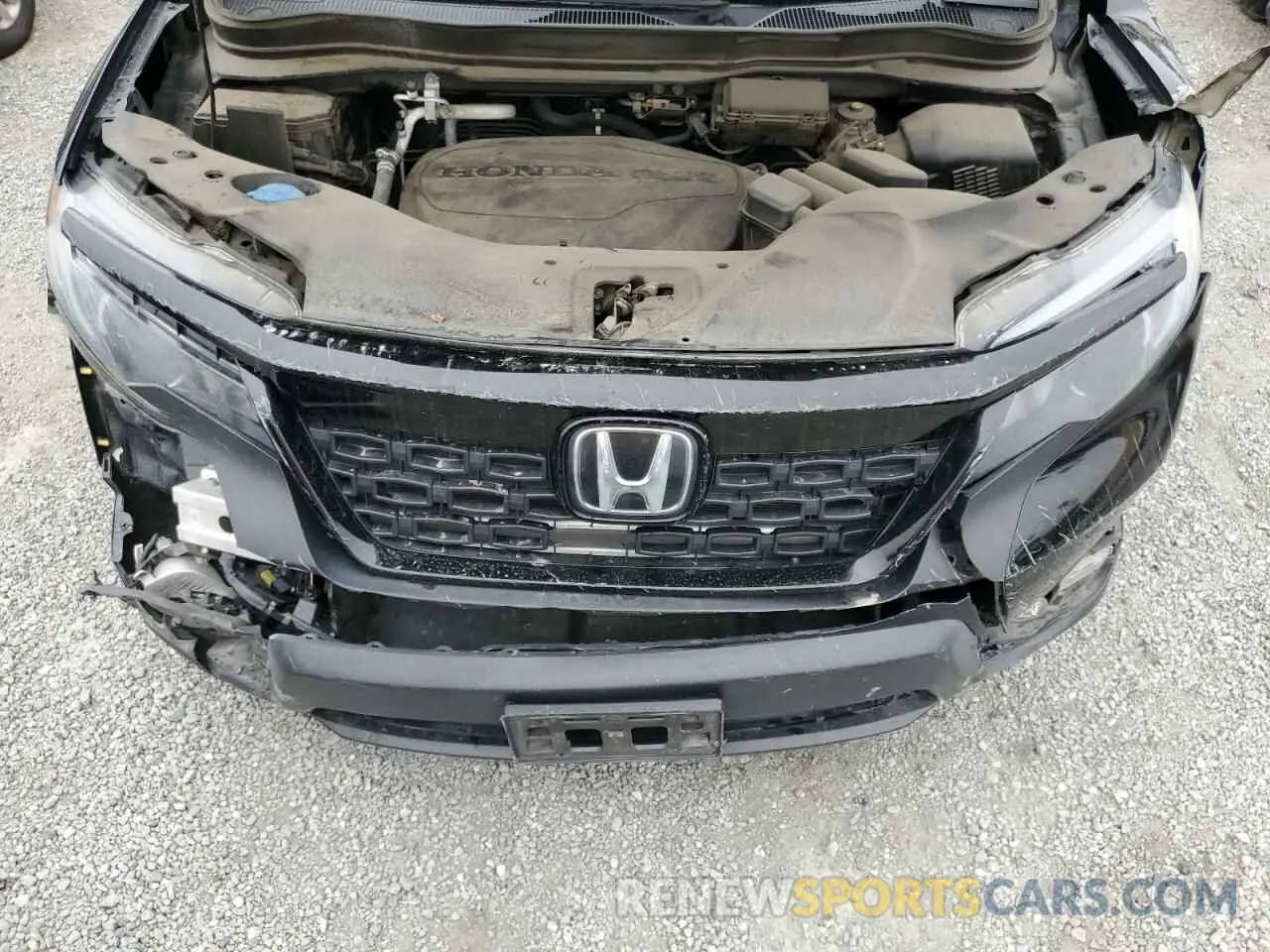 12 Photograph of a damaged car 5FNYF7H53MB010524 HONDA PASSPORT 2021