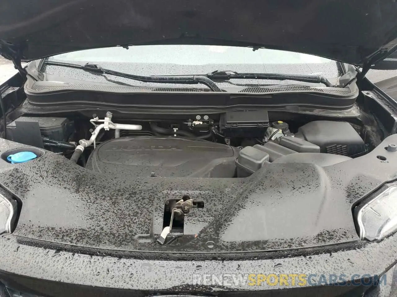 14 Photograph of a damaged car 5FNYF8H25MB008429 HONDA PASSPORT 2021