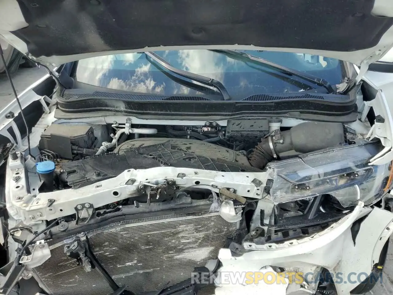 12 Photograph of a damaged car 5FNYF7H56NB004766 HONDA PASSPORT 2022