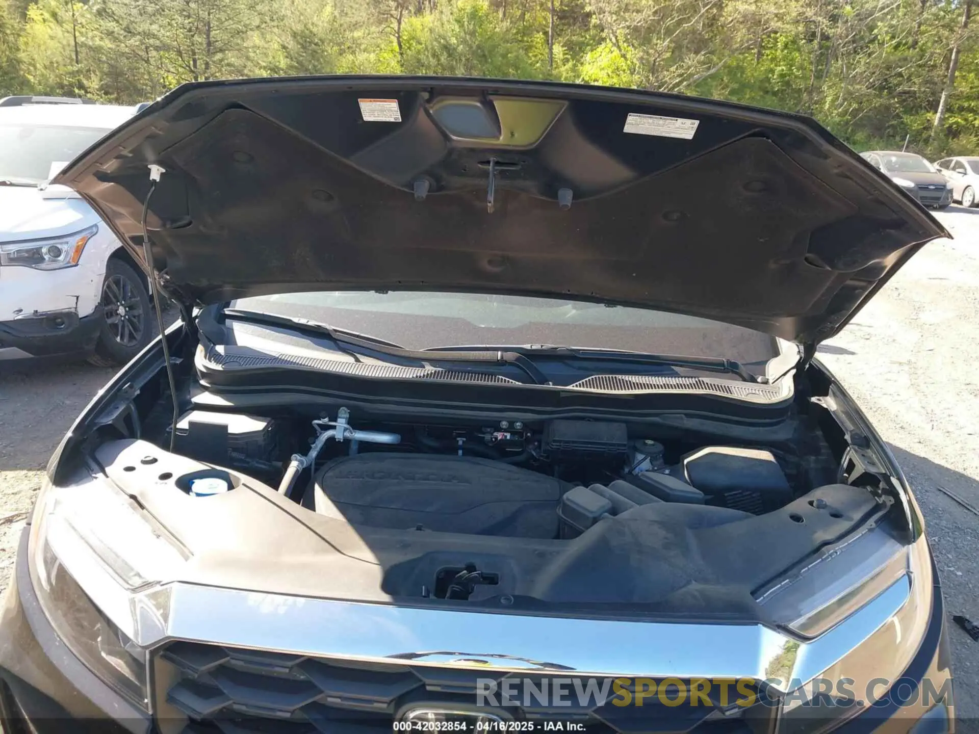 10 Photograph of a damaged car 5FNYF7H57NB004890 HONDA PASSPORT 2022