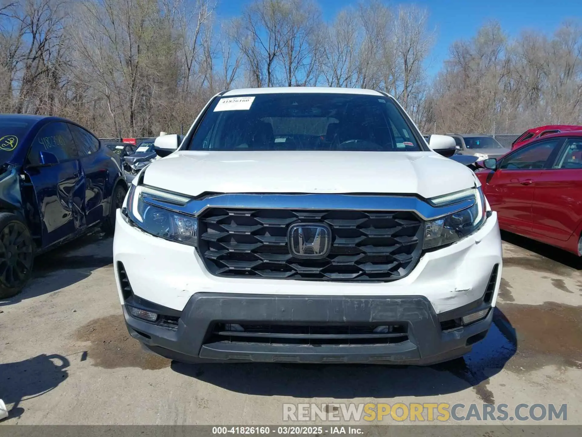 12 Photograph of a damaged car 5FNYF8H56NB008371 HONDA PASSPORT 2022