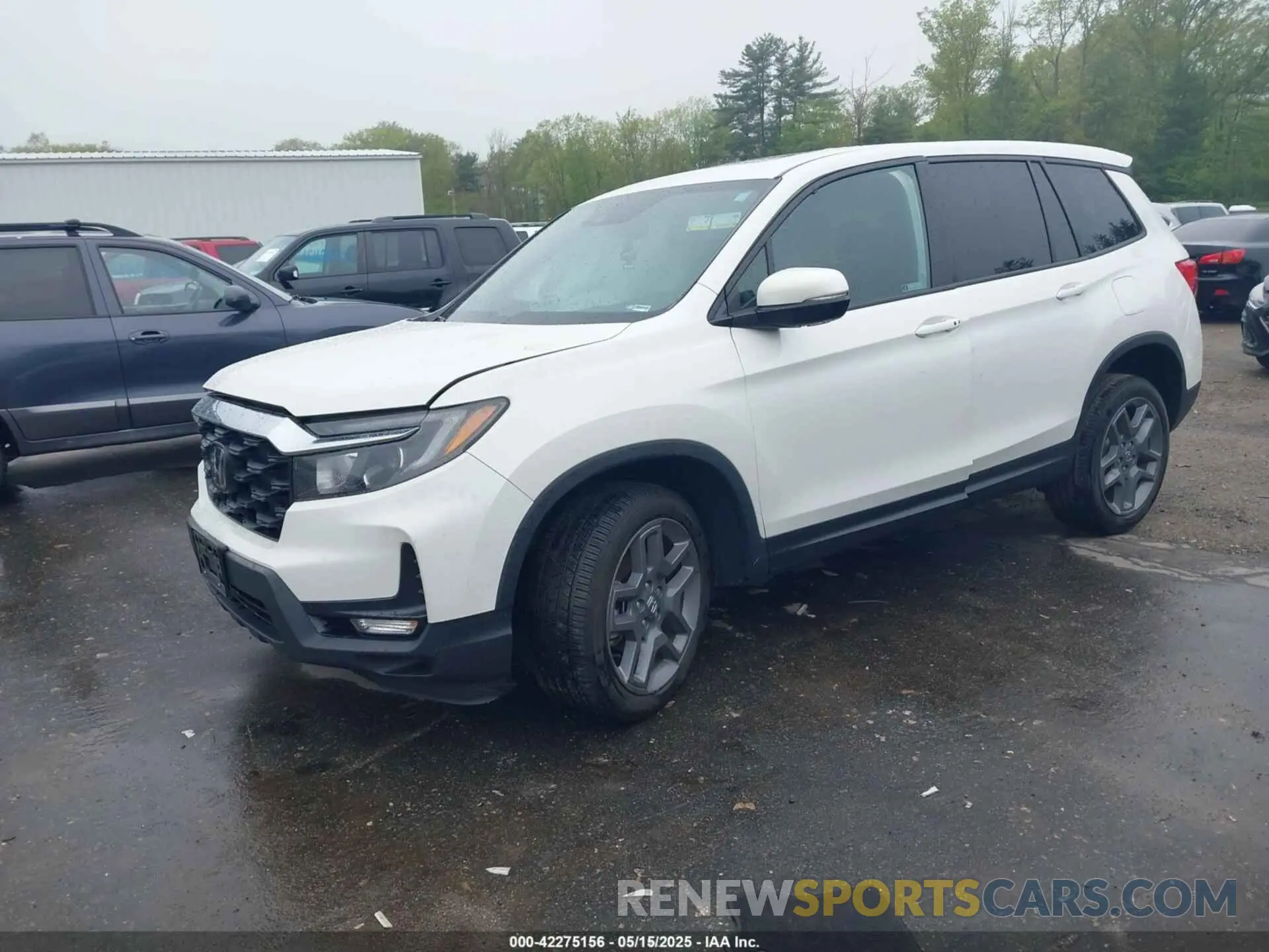 2 Photograph of a damaged car 5FNYF8H5XPB005136 HONDA PASSPORT 2023
