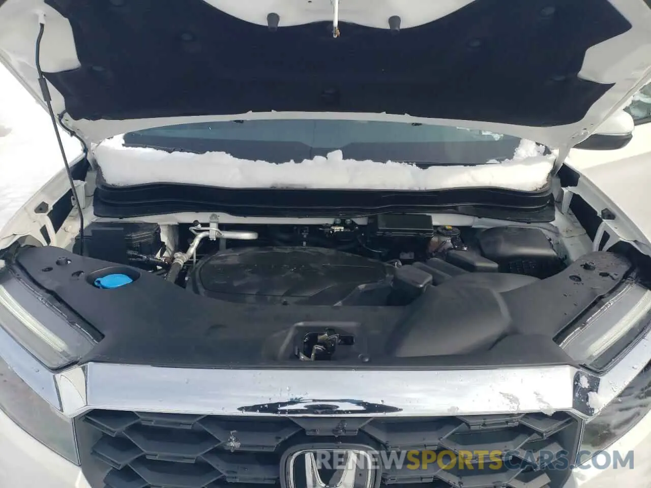 12 Photograph of a damaged car 5FNYF8H50RB023552 HONDA PASSPORT 2024