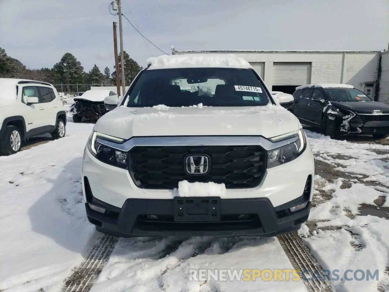 5 Photograph of a damaged car 5FNYF8H50RB023552 HONDA PASSPORT 2024