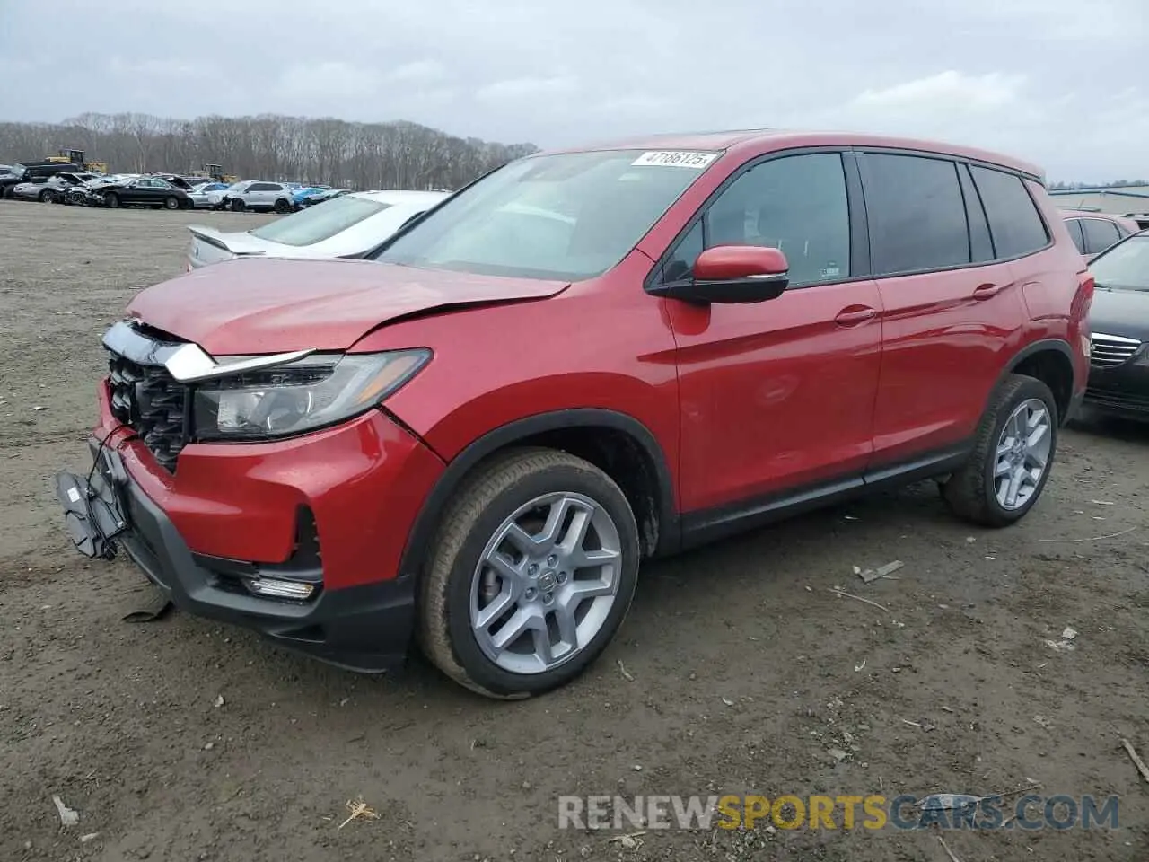 1 Photograph of a damaged car 5FNYF8H52RB010348 HONDA PASSPORT 2024