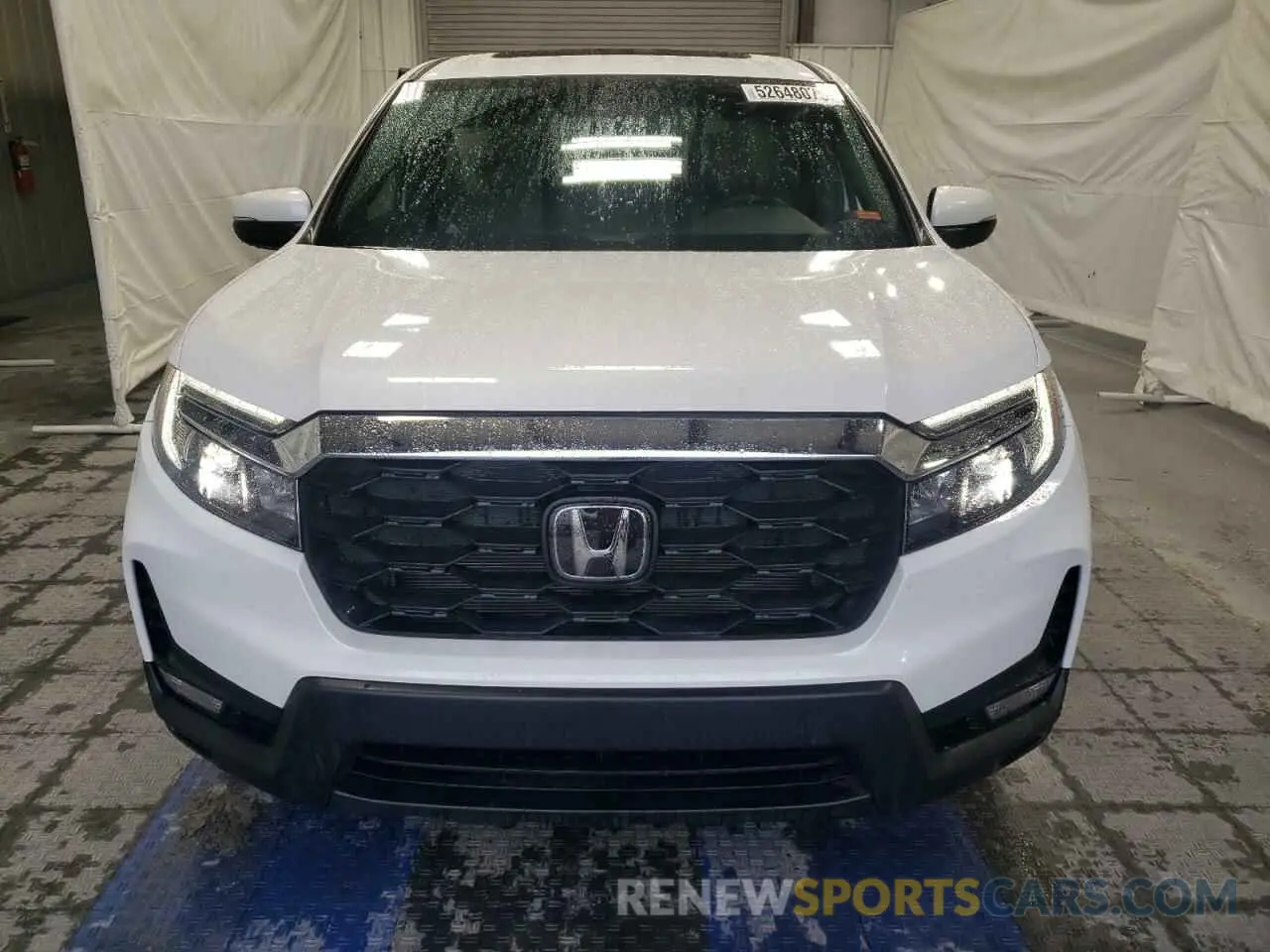 5 Photograph of a damaged car 5FNYF8H54RB020153 HONDA PASSPORT 2024