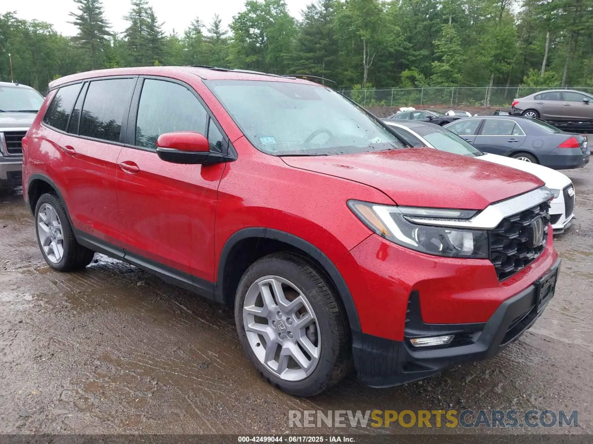 1 Photograph of a damaged car 5FNYF8H5XRB010355 HONDA PASSPORT 2024