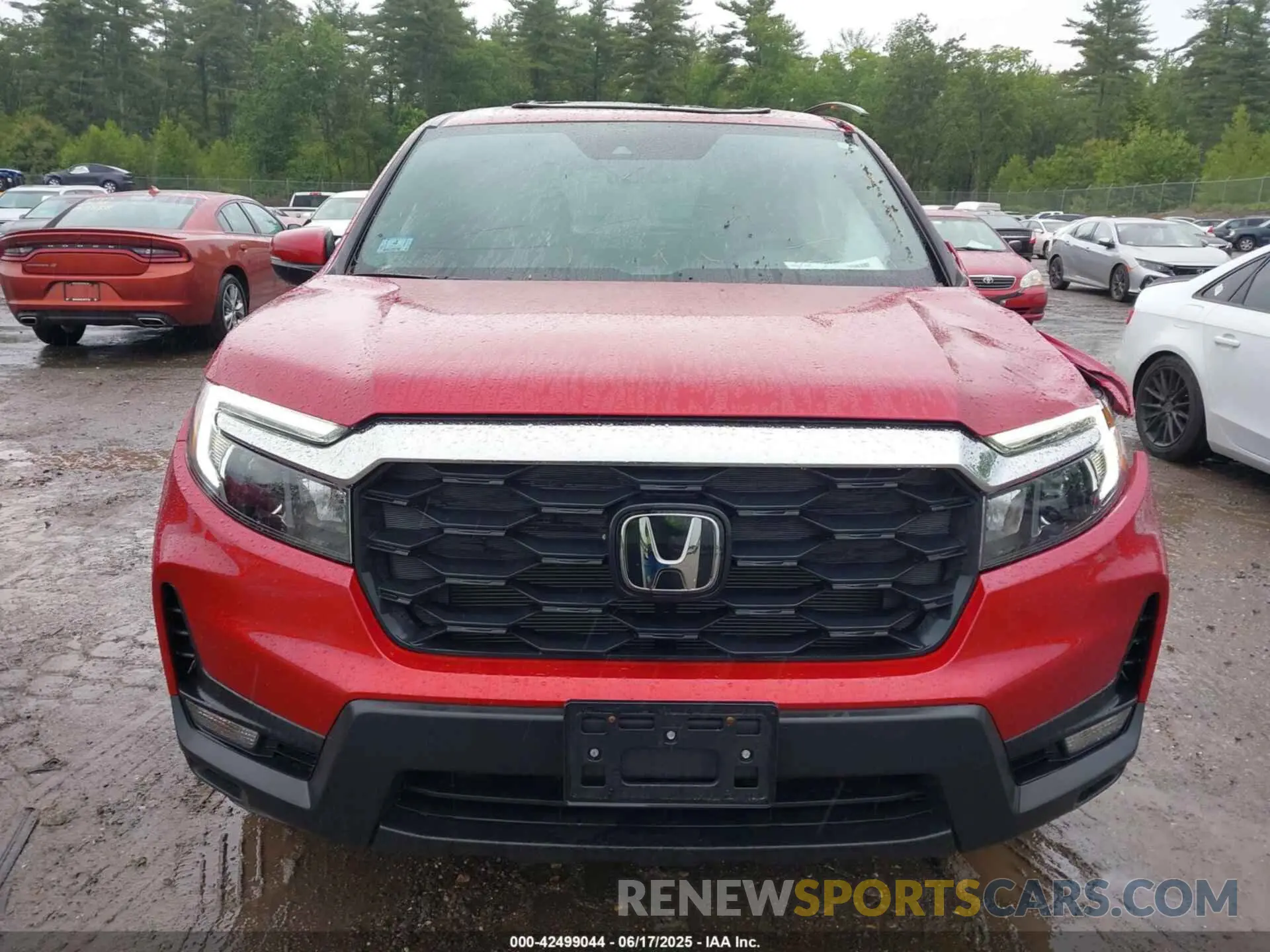 12 Photograph of a damaged car 5FNYF8H5XRB010355 HONDA PASSPORT 2024