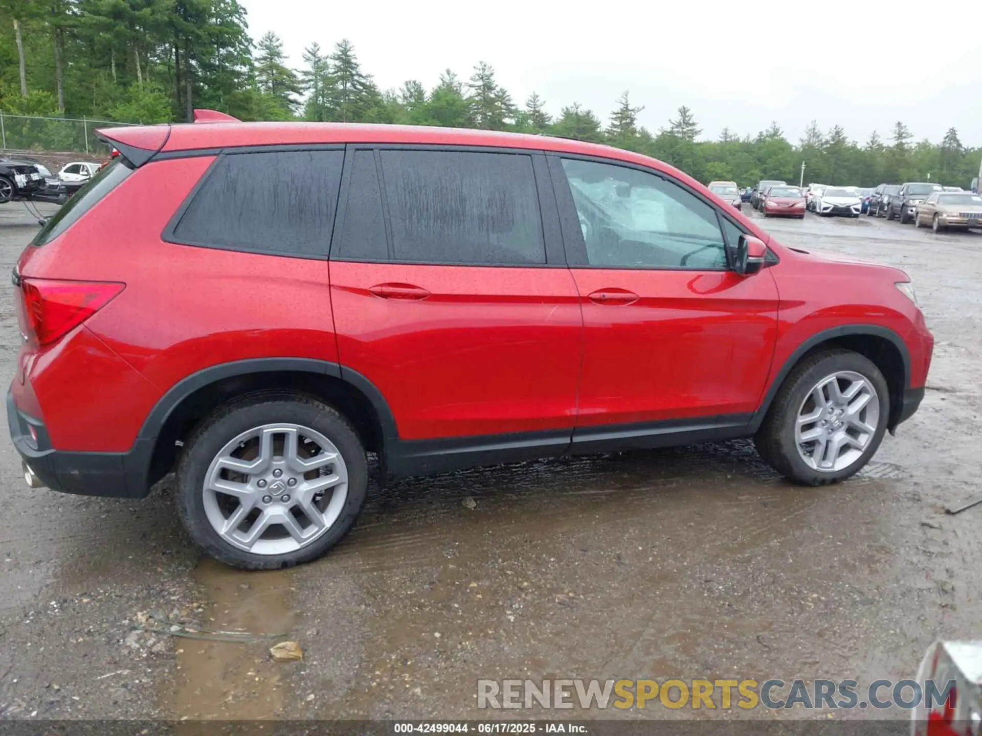 13 Photograph of a damaged car 5FNYF8H5XRB010355 HONDA PASSPORT 2024