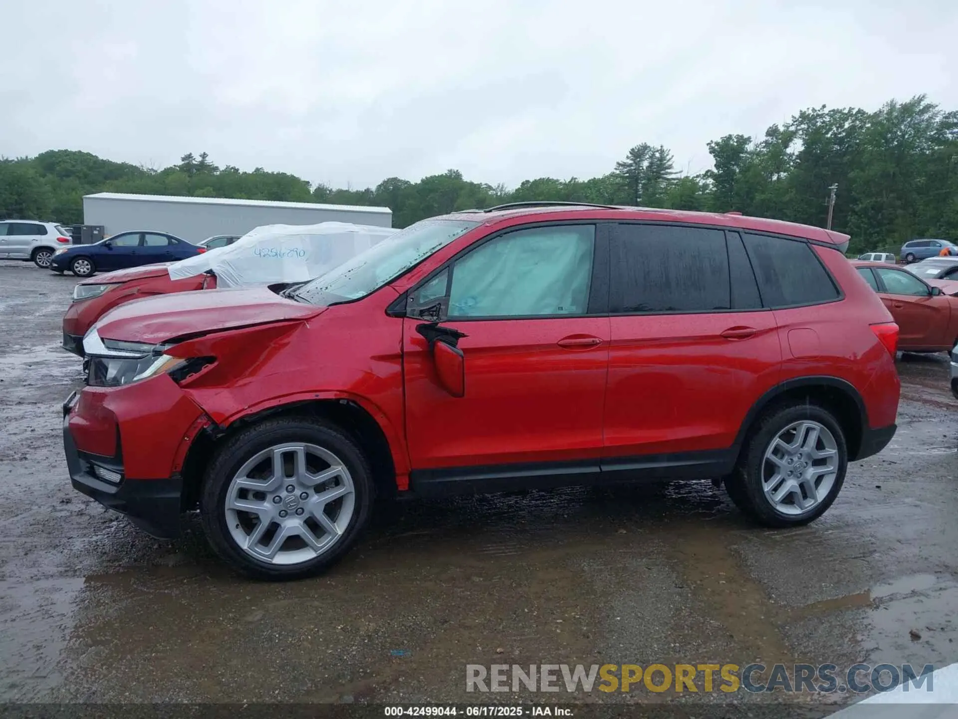 14 Photograph of a damaged car 5FNYF8H5XRB010355 HONDA PASSPORT 2024