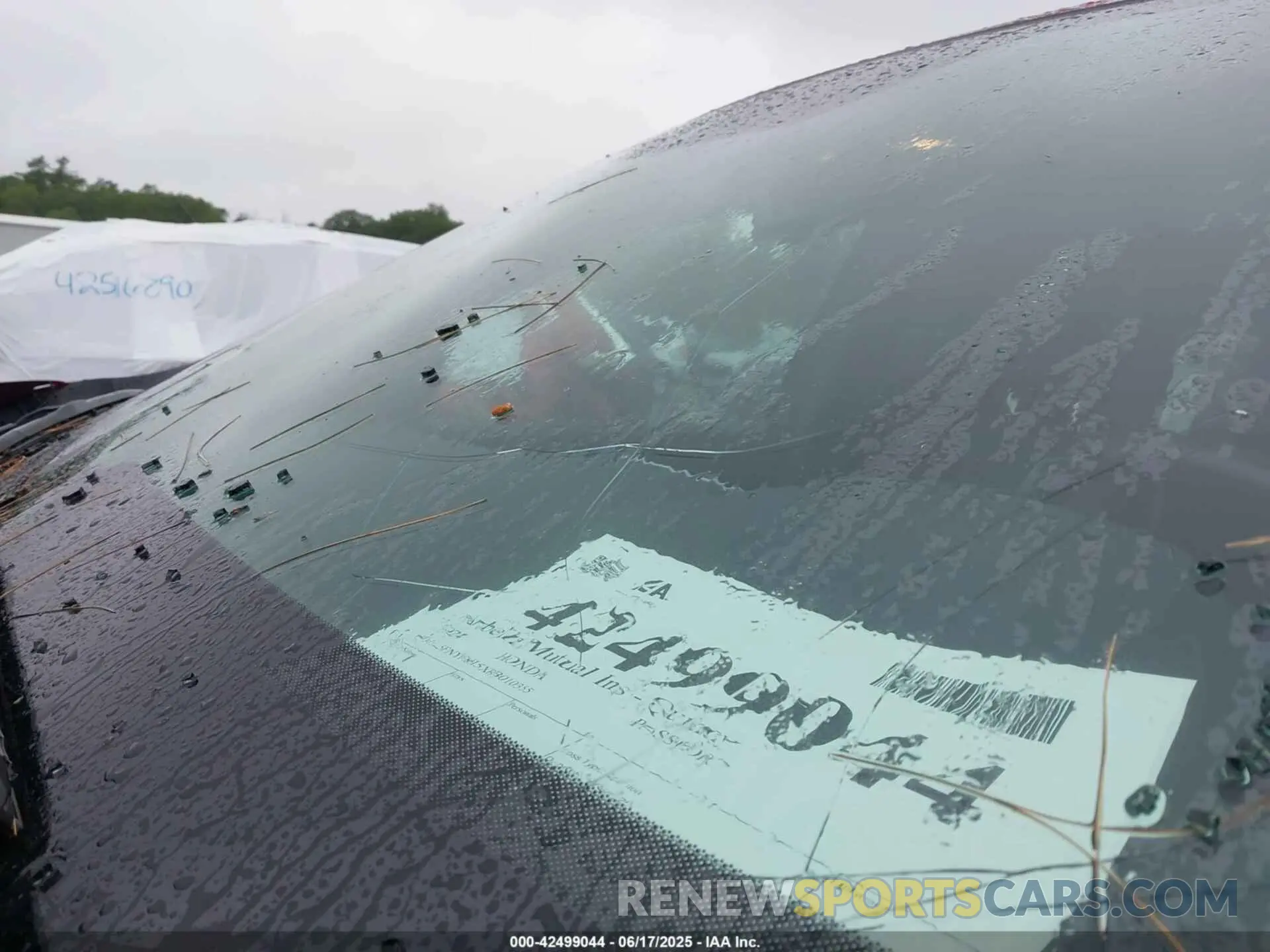 17 Photograph of a damaged car 5FNYF8H5XRB010355 HONDA PASSPORT 2024