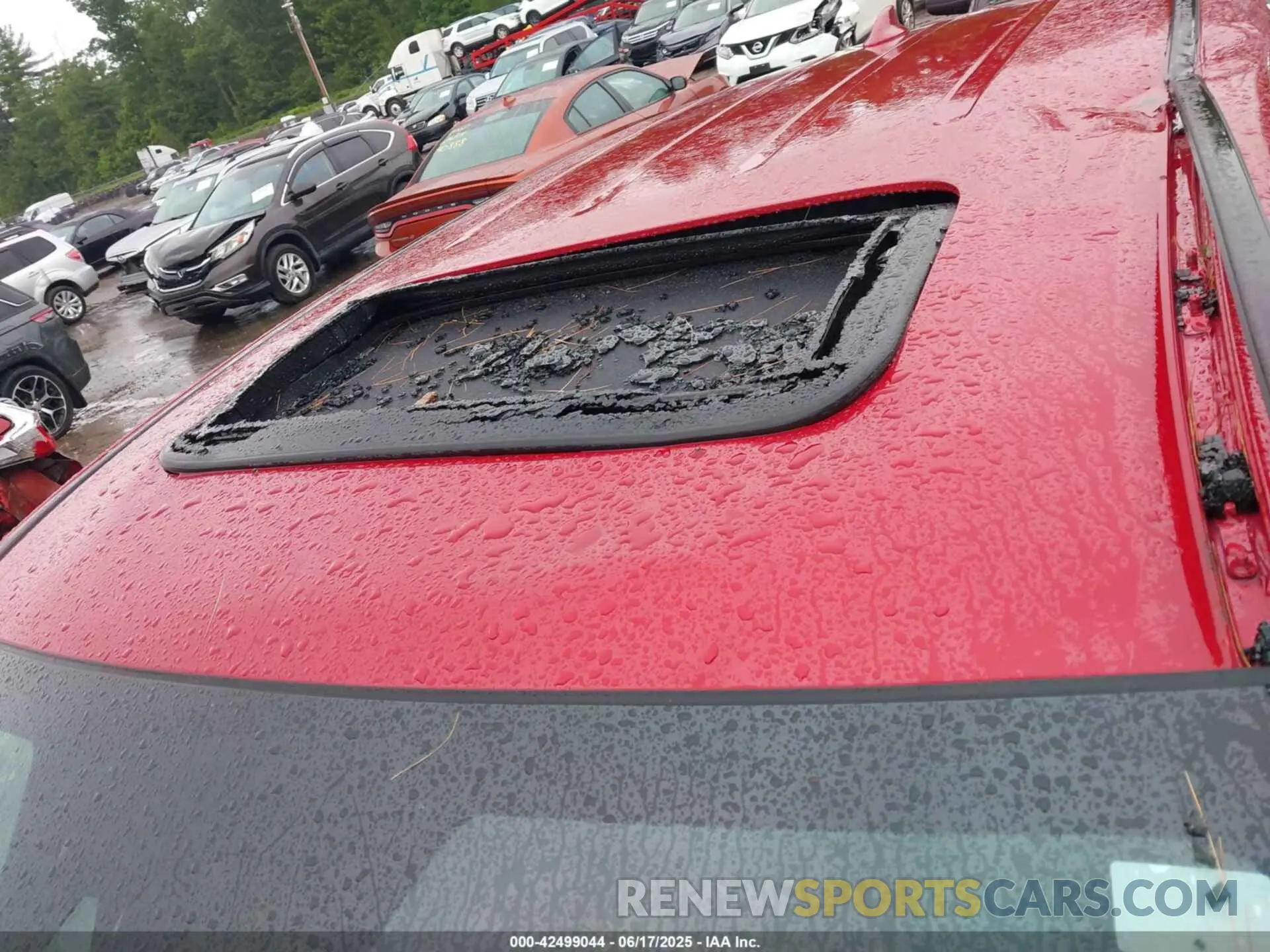 18 Photograph of a damaged car 5FNYF8H5XRB010355 HONDA PASSPORT 2024