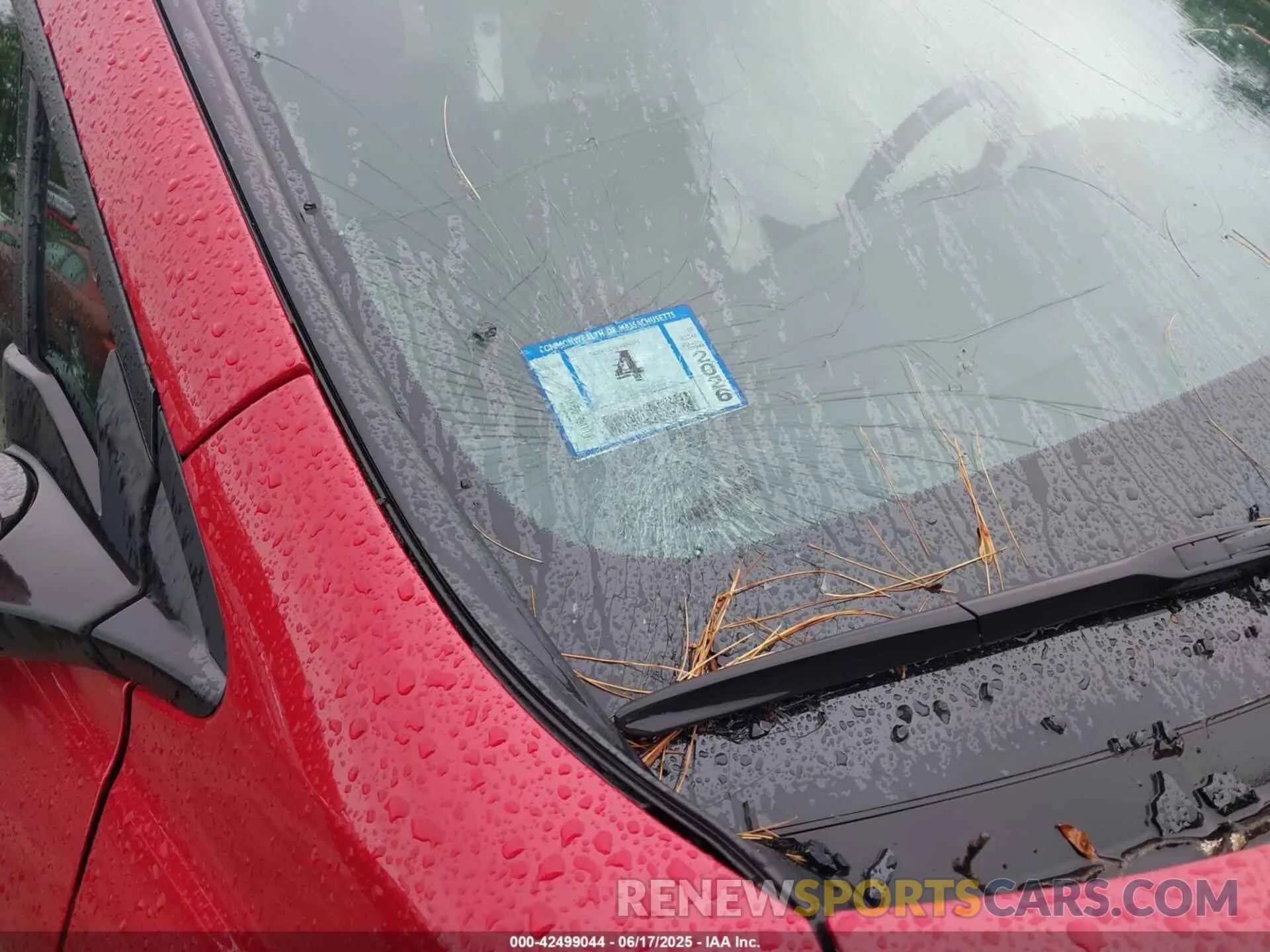 20 Photograph of a damaged car 5FNYF8H5XRB010355 HONDA PASSPORT 2024