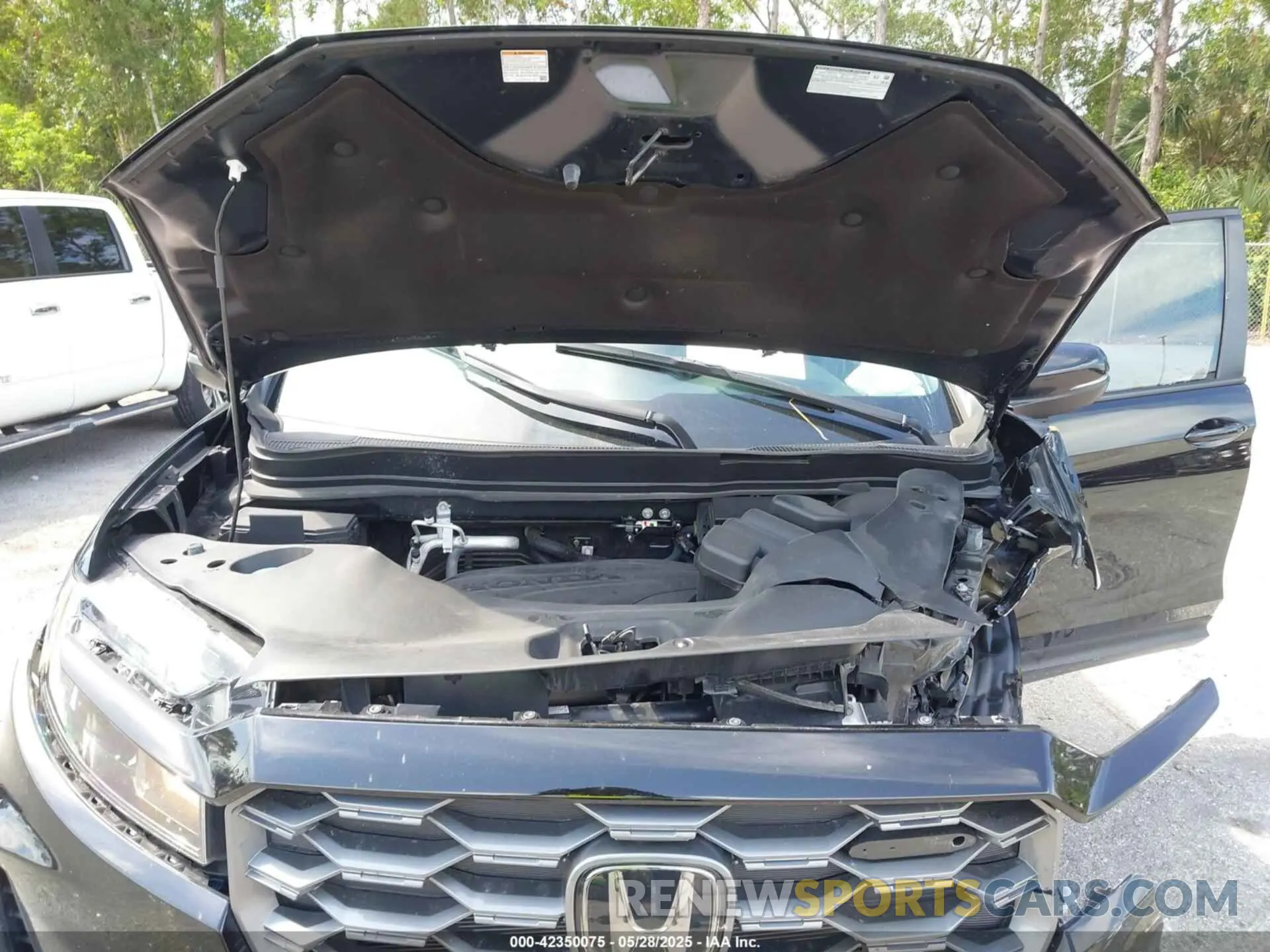10 Photograph of a damaged car 5FNYF8H6XRB000224 HONDA PASSPORT 2024