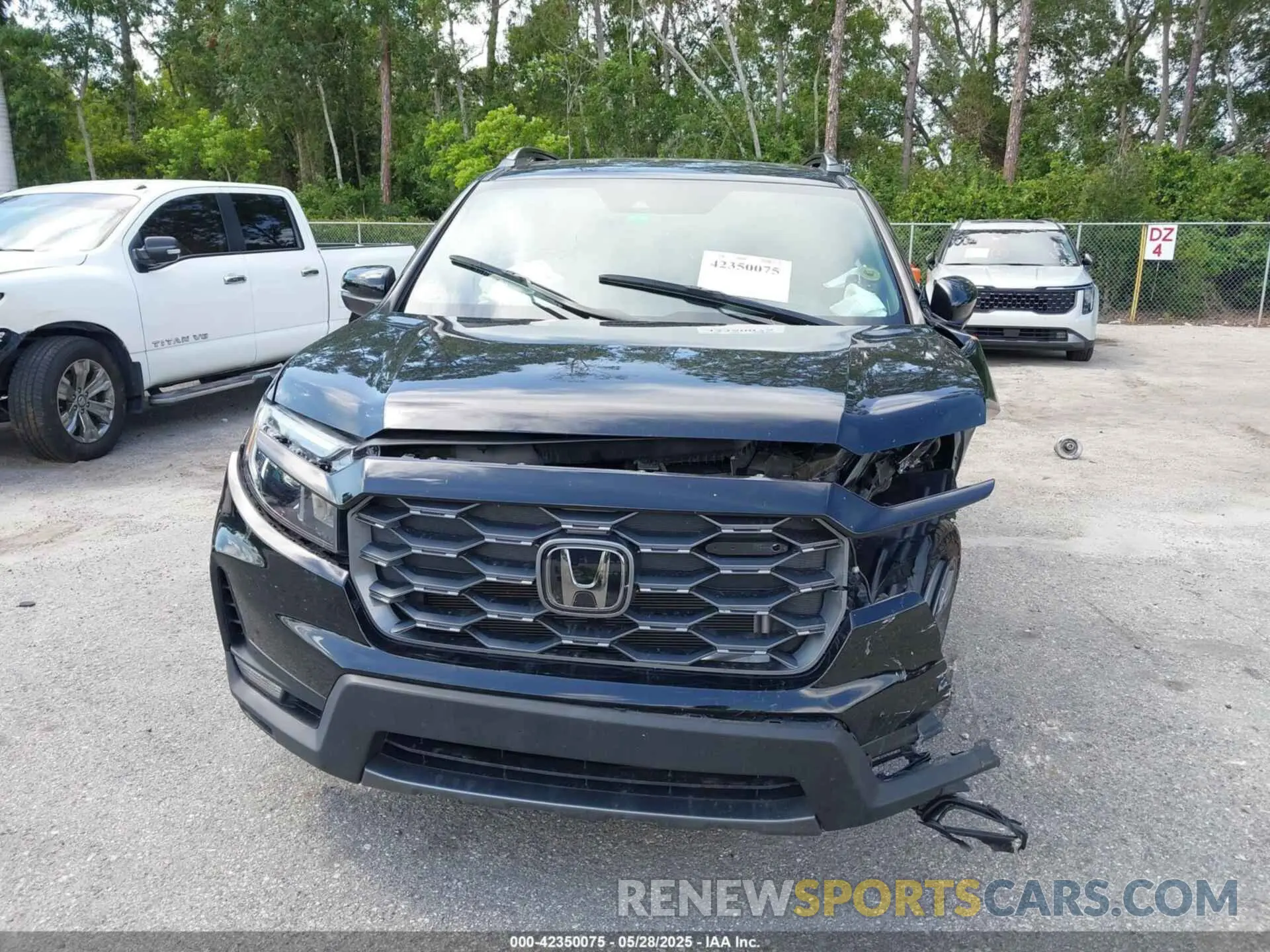 12 Photograph of a damaged car 5FNYF8H6XRB000224 HONDA PASSPORT 2024