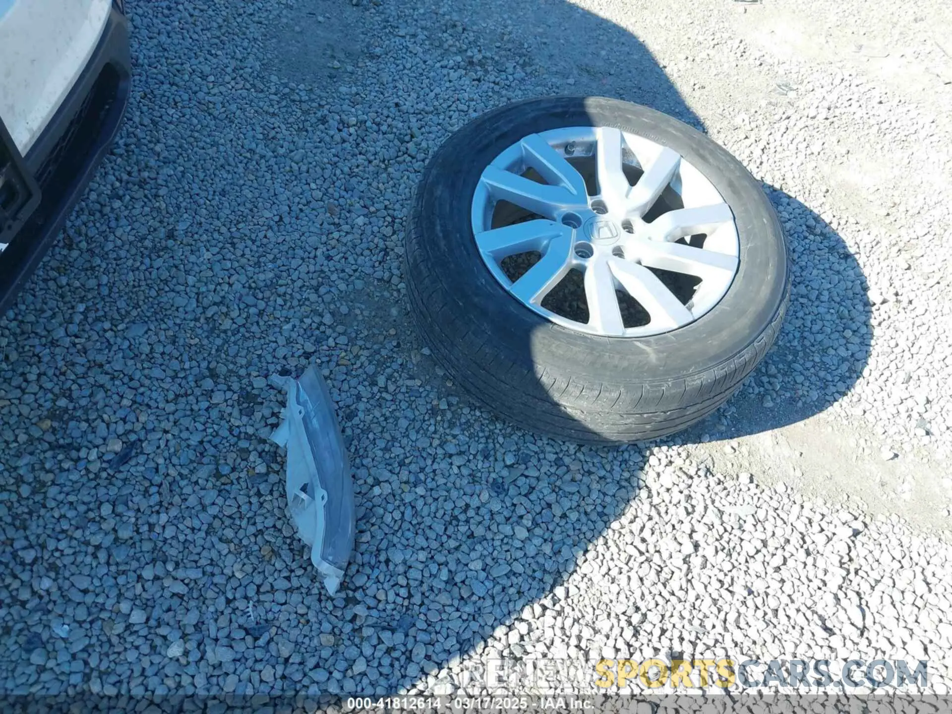 12 Photograph of a damaged car 5FNYF5H11KB006065 HONDA PILOT 2019
