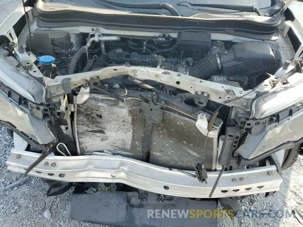 14 Photograph of a damaged car 5FNYF5H16KB037151 HONDA PILOT 2019