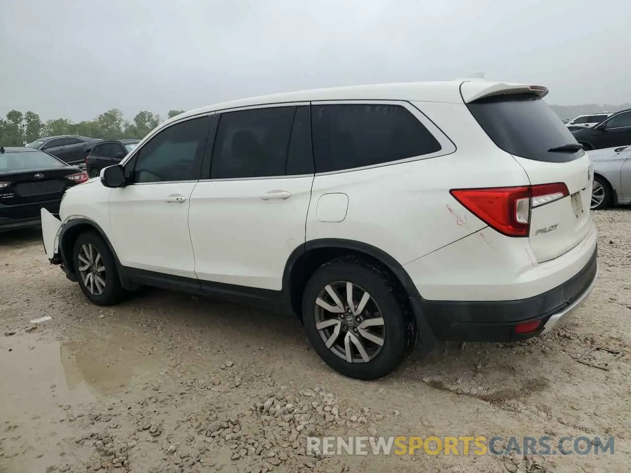 2 Photograph of a damaged car 5FNYF5H33KB039408 HONDA PILOT 2019