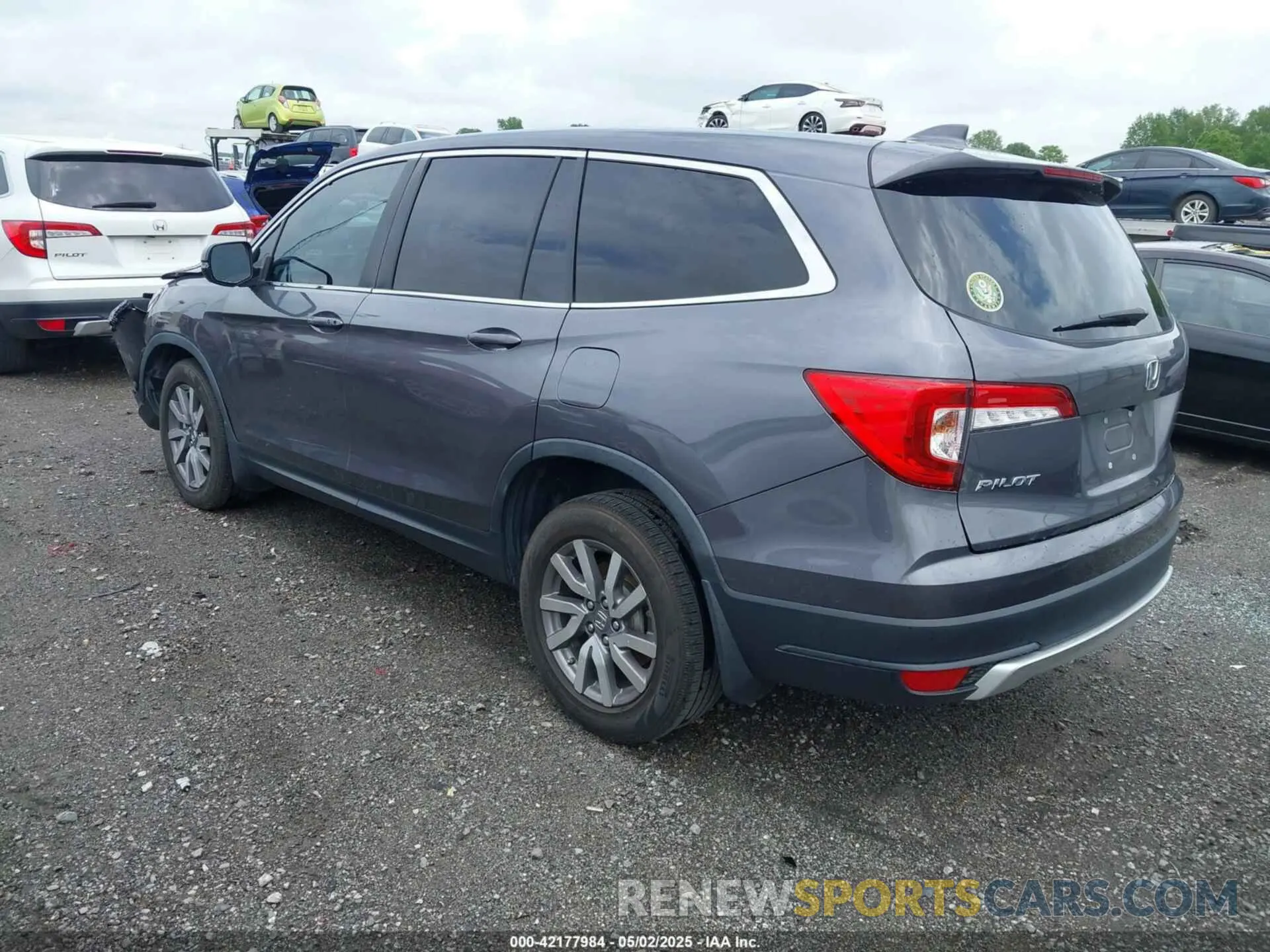 3 Photograph of a damaged car 5FNYF5H37KB034499 HONDA PILOT 2019