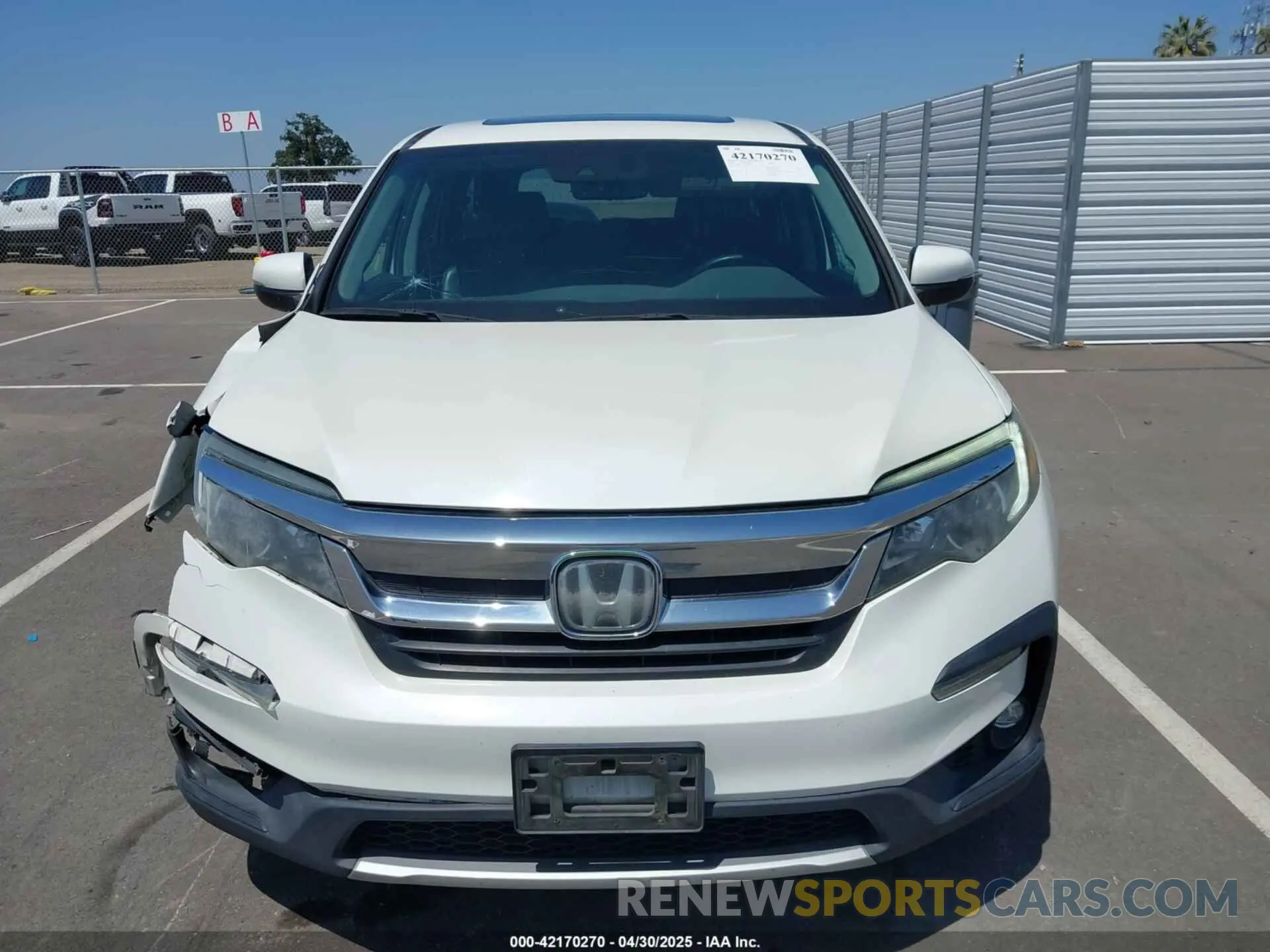 13 Photograph of a damaged car 5FNYF5H54KB018519 HONDA PILOT 2019
