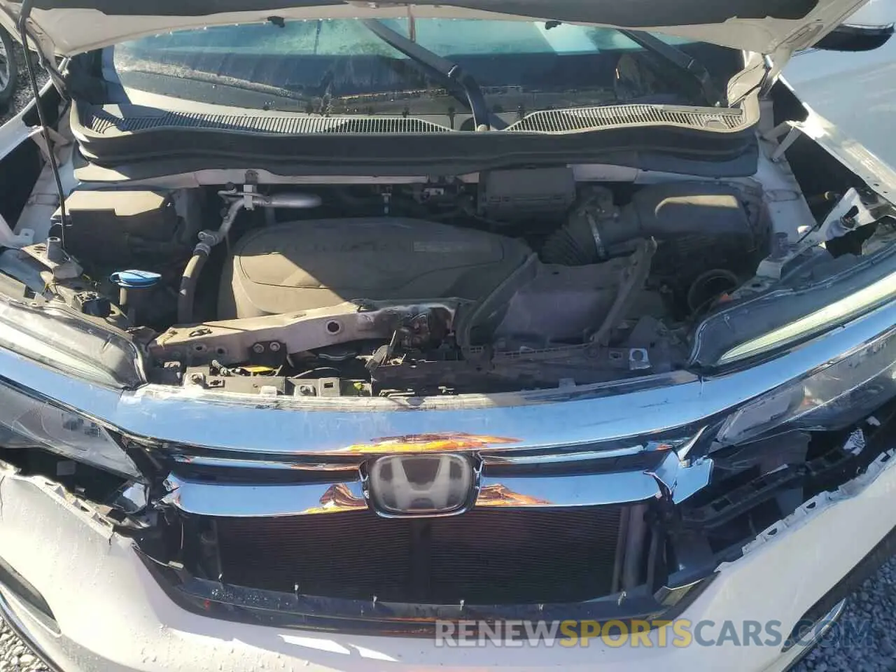 12 Photograph of a damaged car 5FNYF5H65KB039145 HONDA PILOT 2019