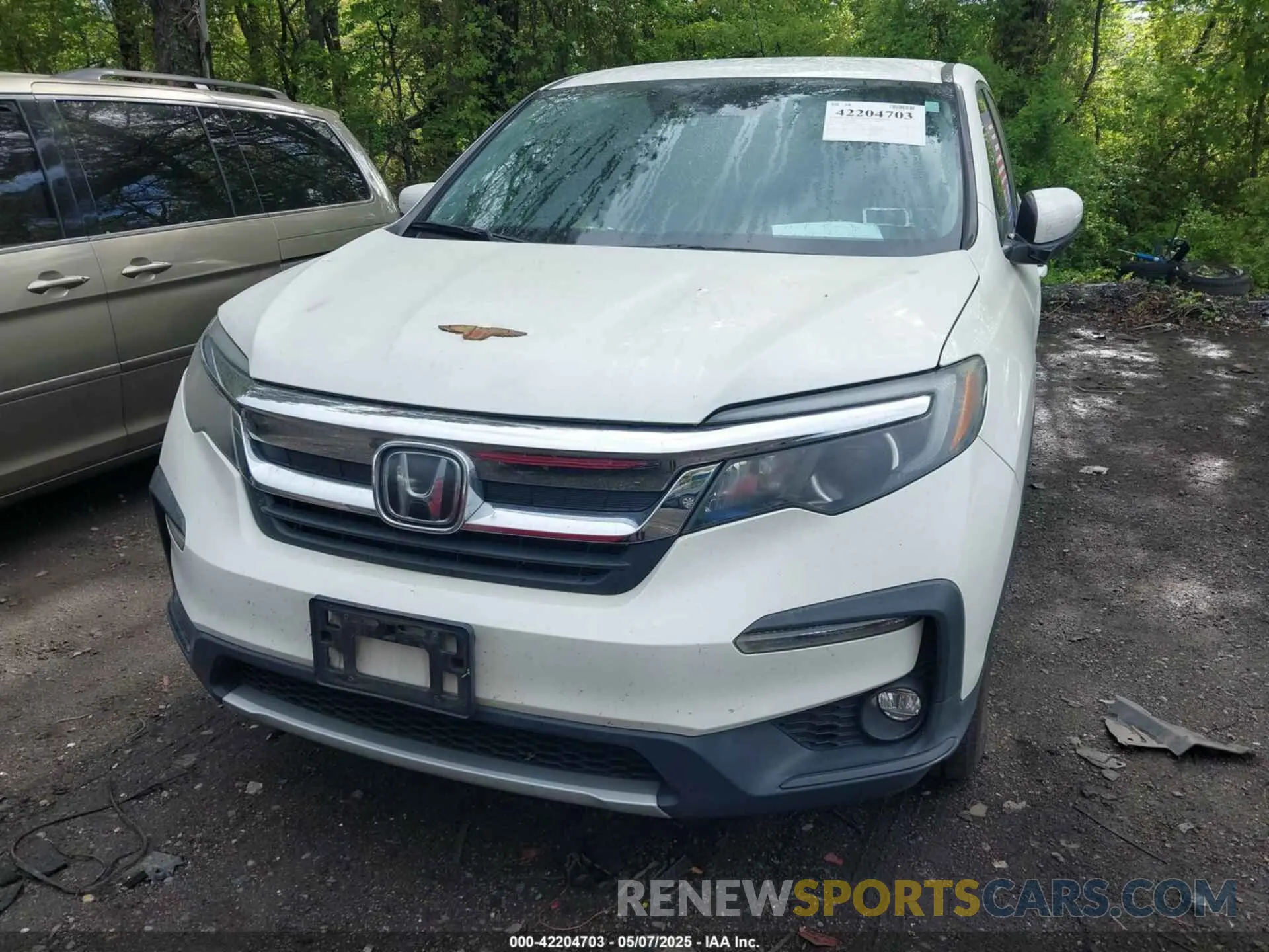 12 Photograph of a damaged car 5FNYF6H31KB086152 HONDA PILOT 2019