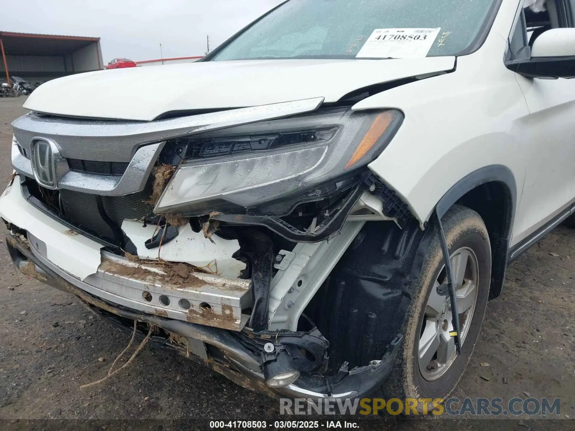 6 Photograph of a damaged car 5FNYF6H65KB035053 HONDA PILOT 2019