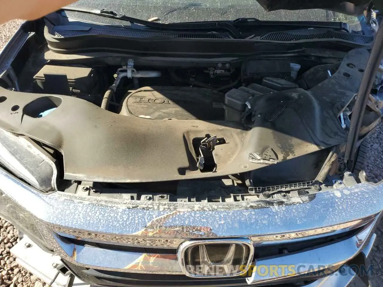 12 Photograph of a damaged car 5FNYF5H33LB021119 HONDA PILOT 2020